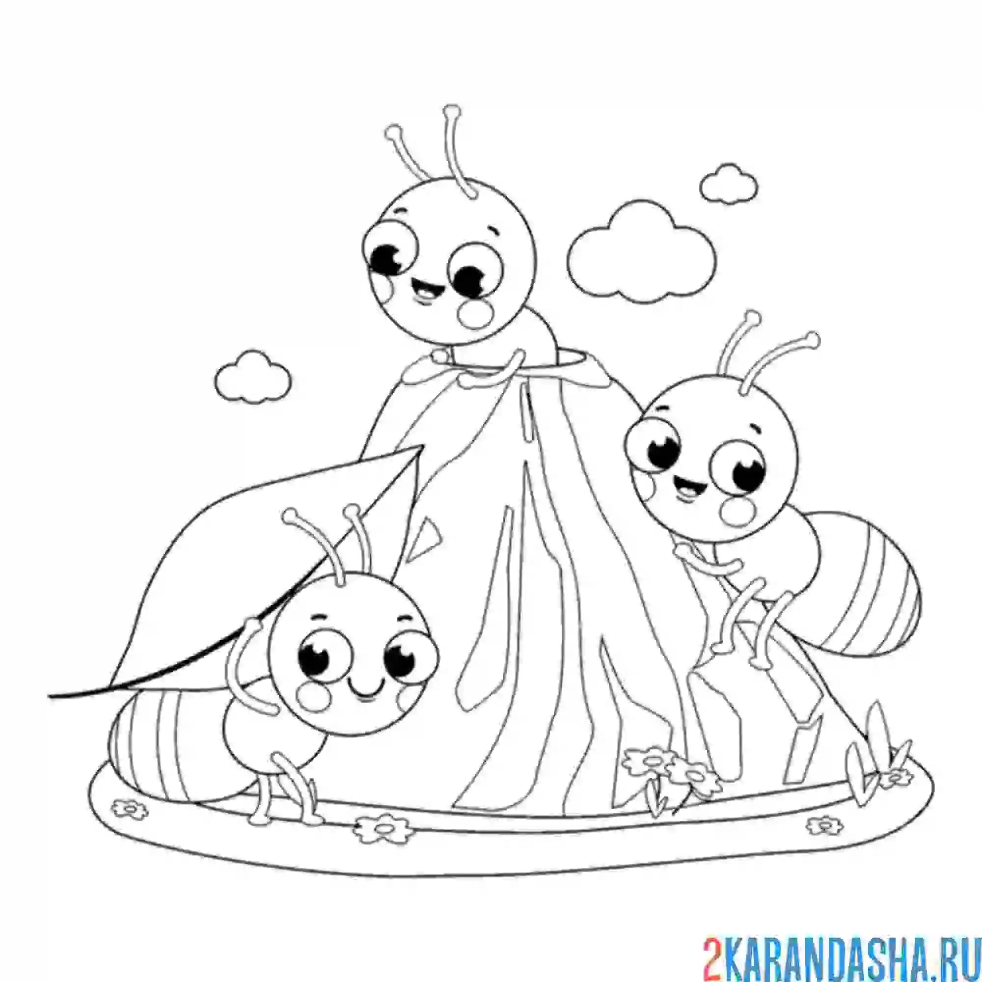 Раскраска муравьи