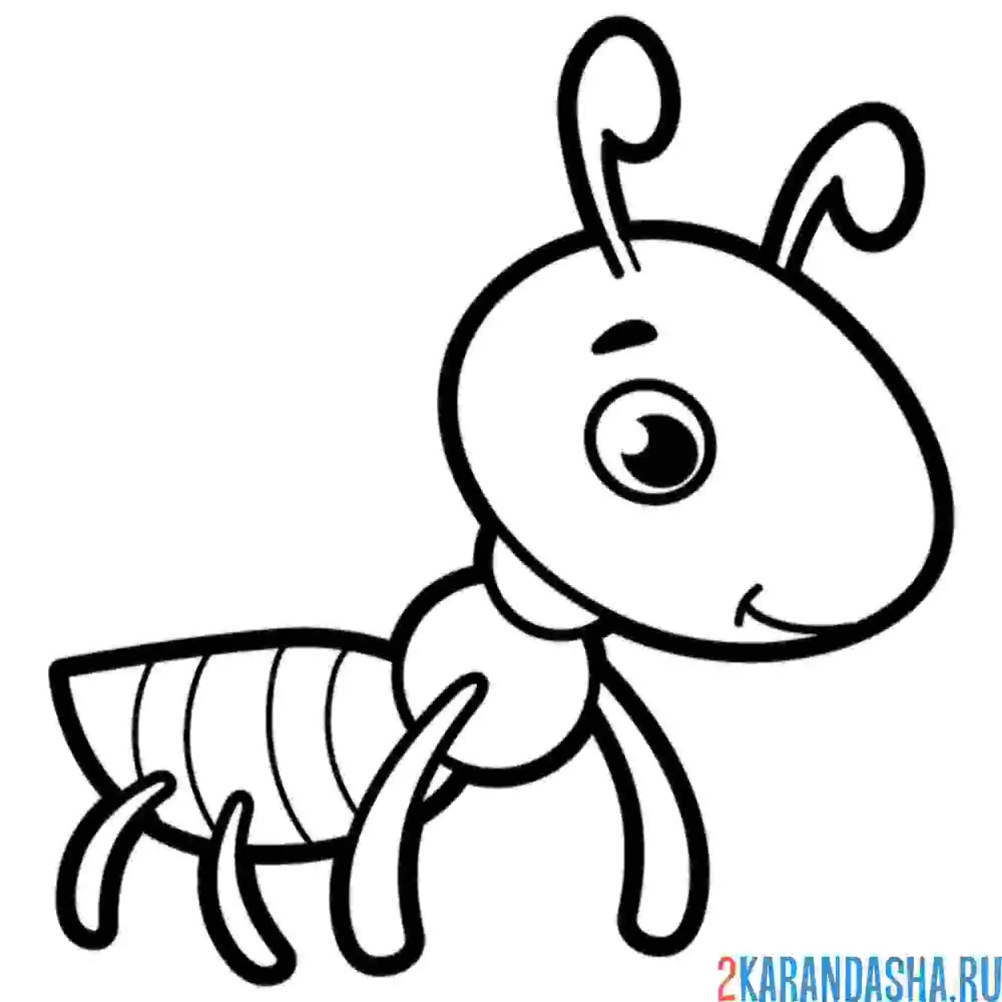 Раскраска муравей веселый