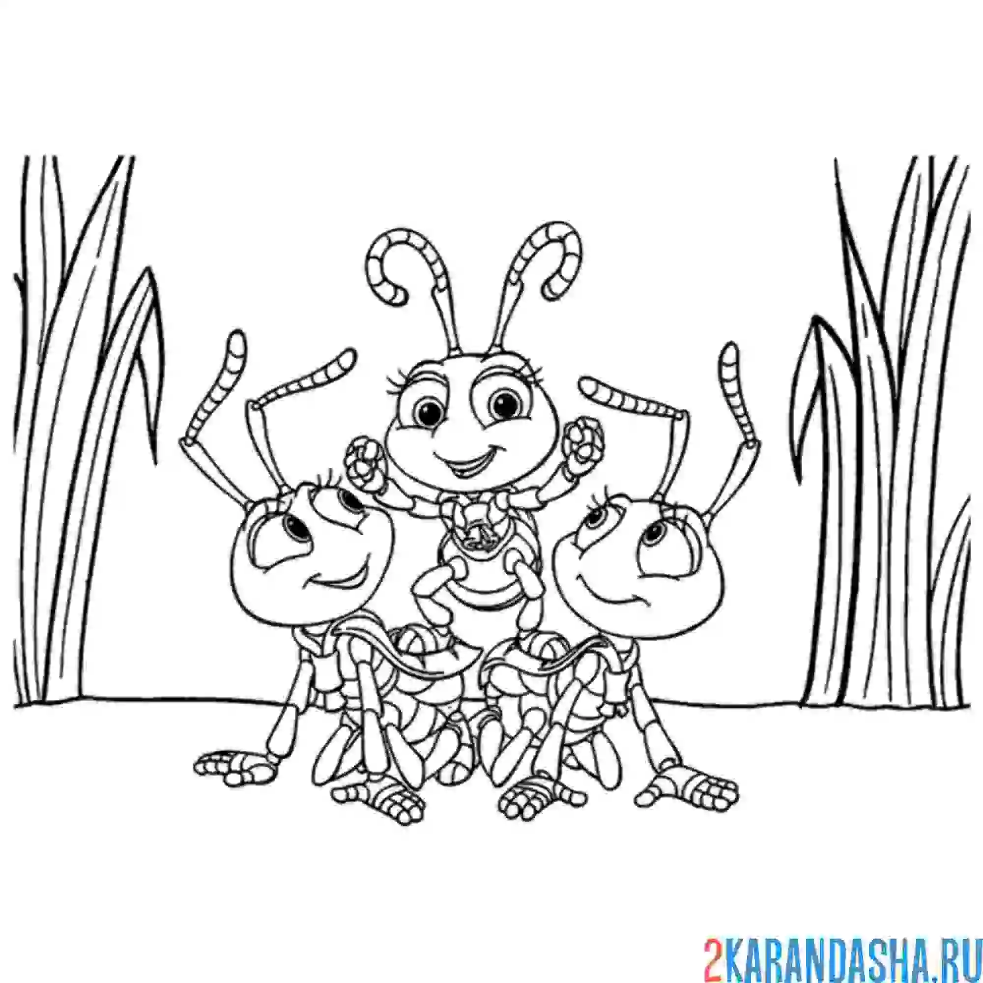 Раскраска три муравья