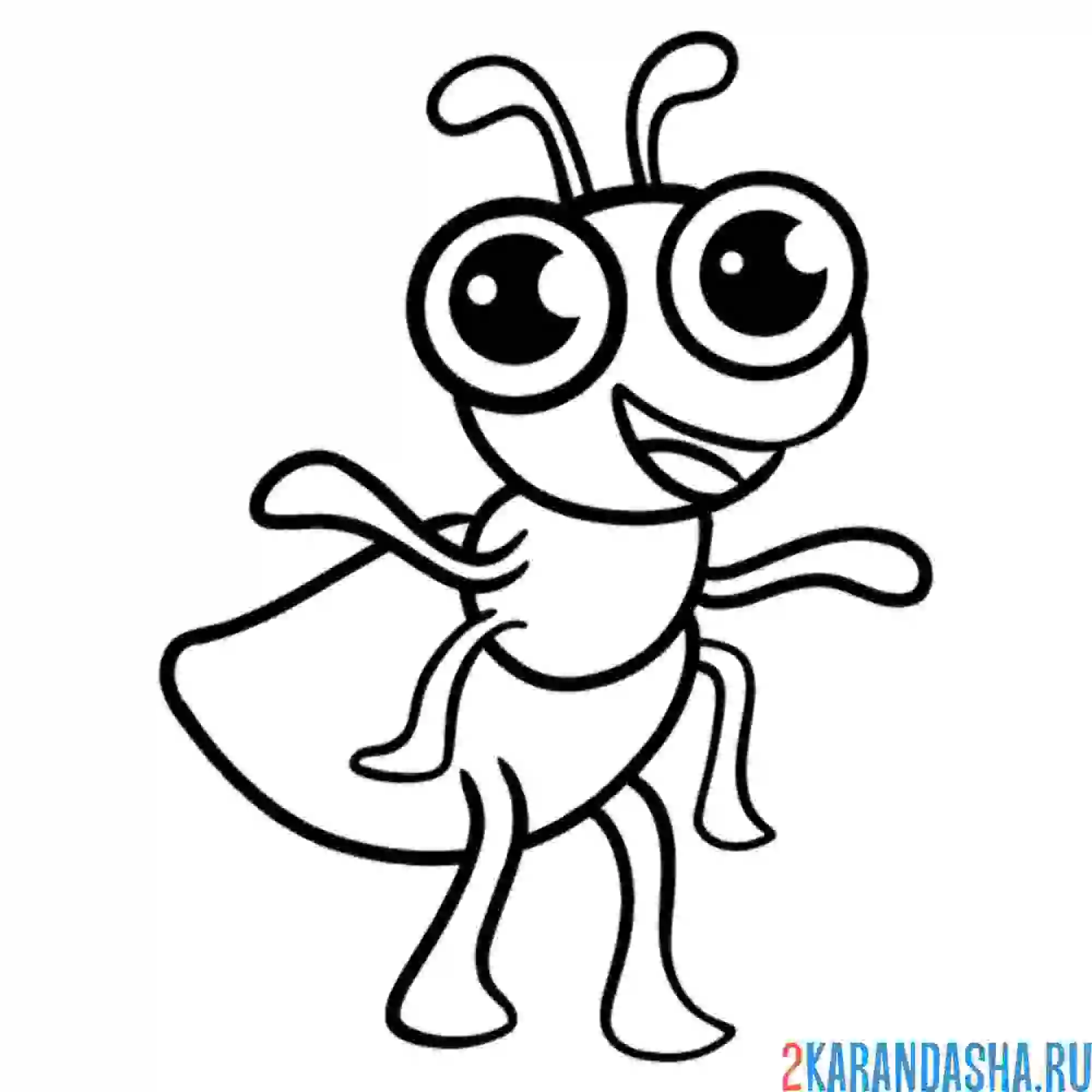 Раскраска муравей мультяшка