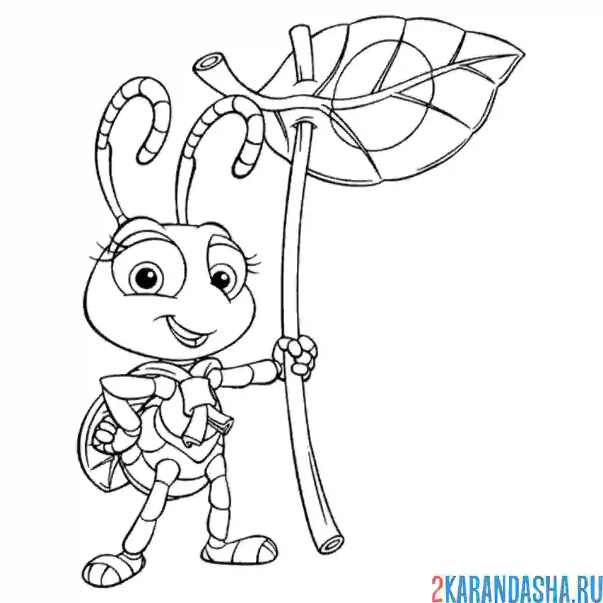 Раскраска муравей путешественник