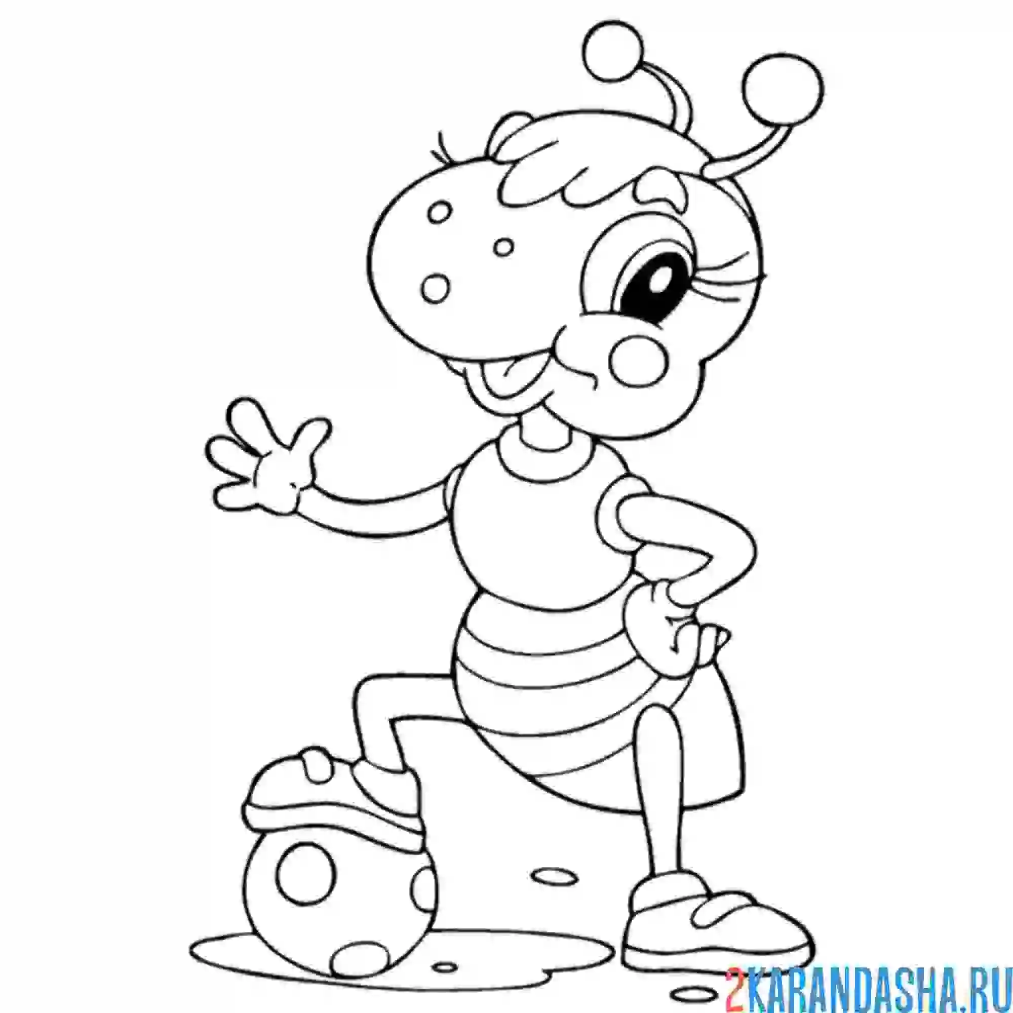 Раскраска муравей добытчик