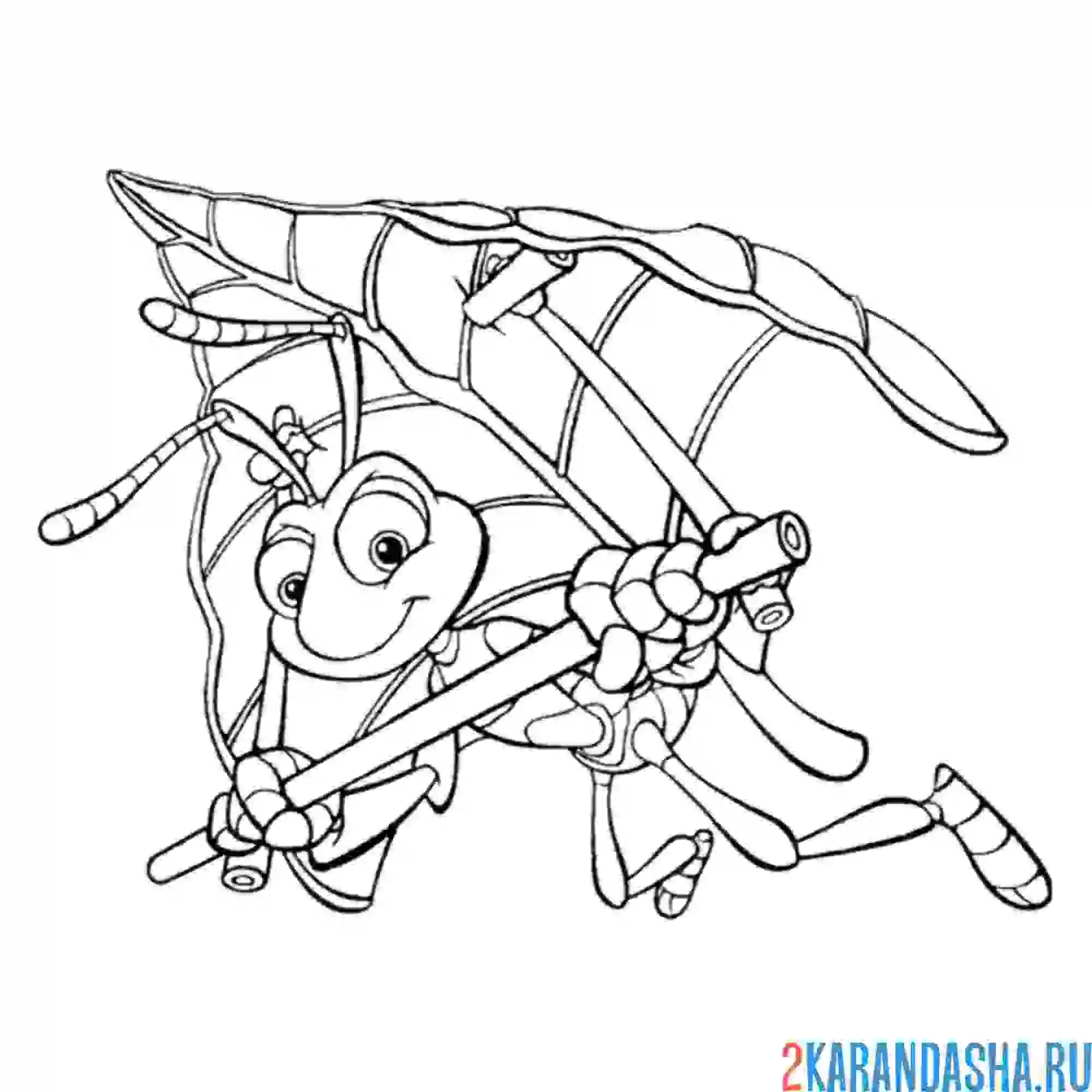 Раскраска муравей научился летать