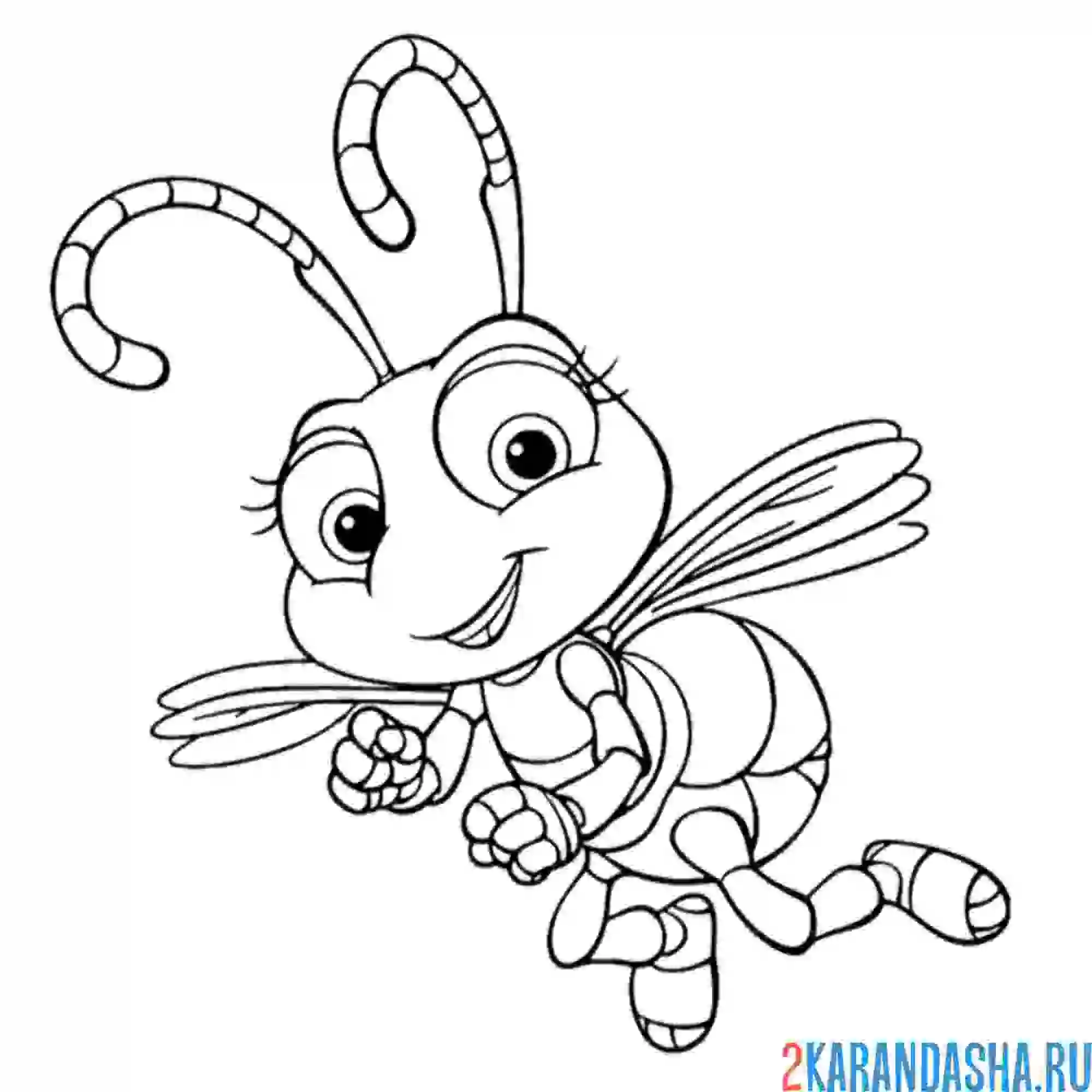 Раскраска муравей летающий