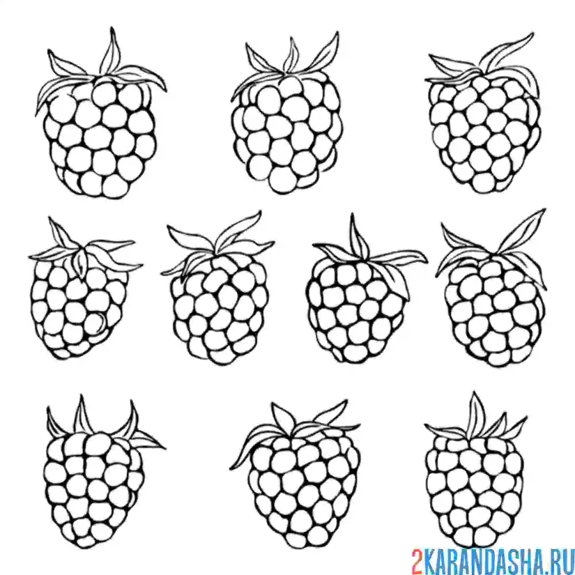 Раскраска ягодки малины