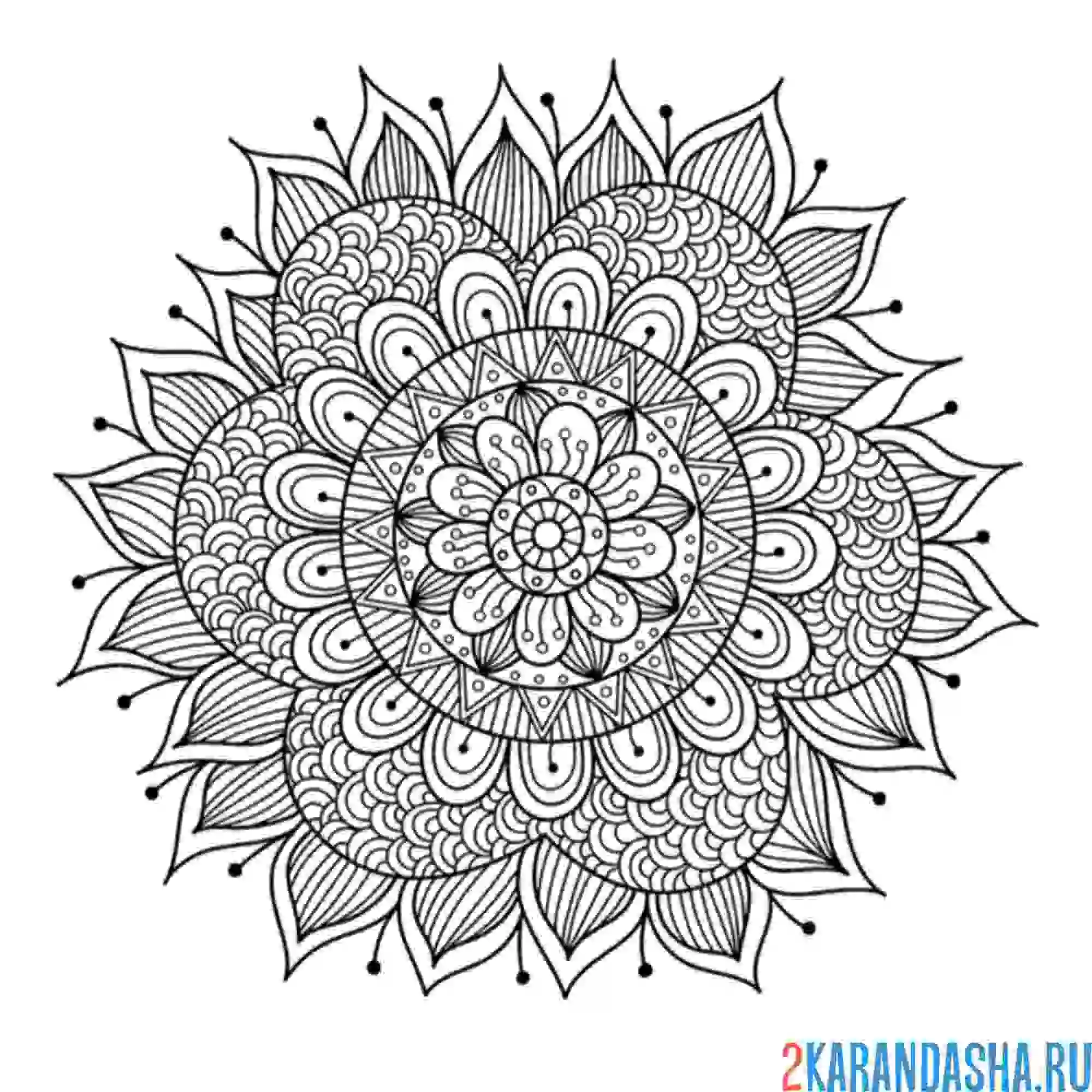 Раскраска мандала раскрытие потенциала