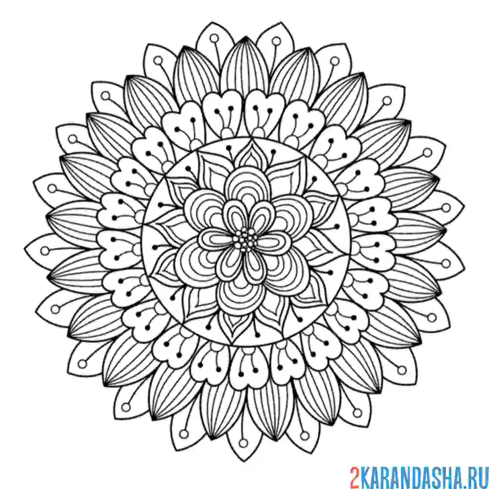 Раскраска мандала успех