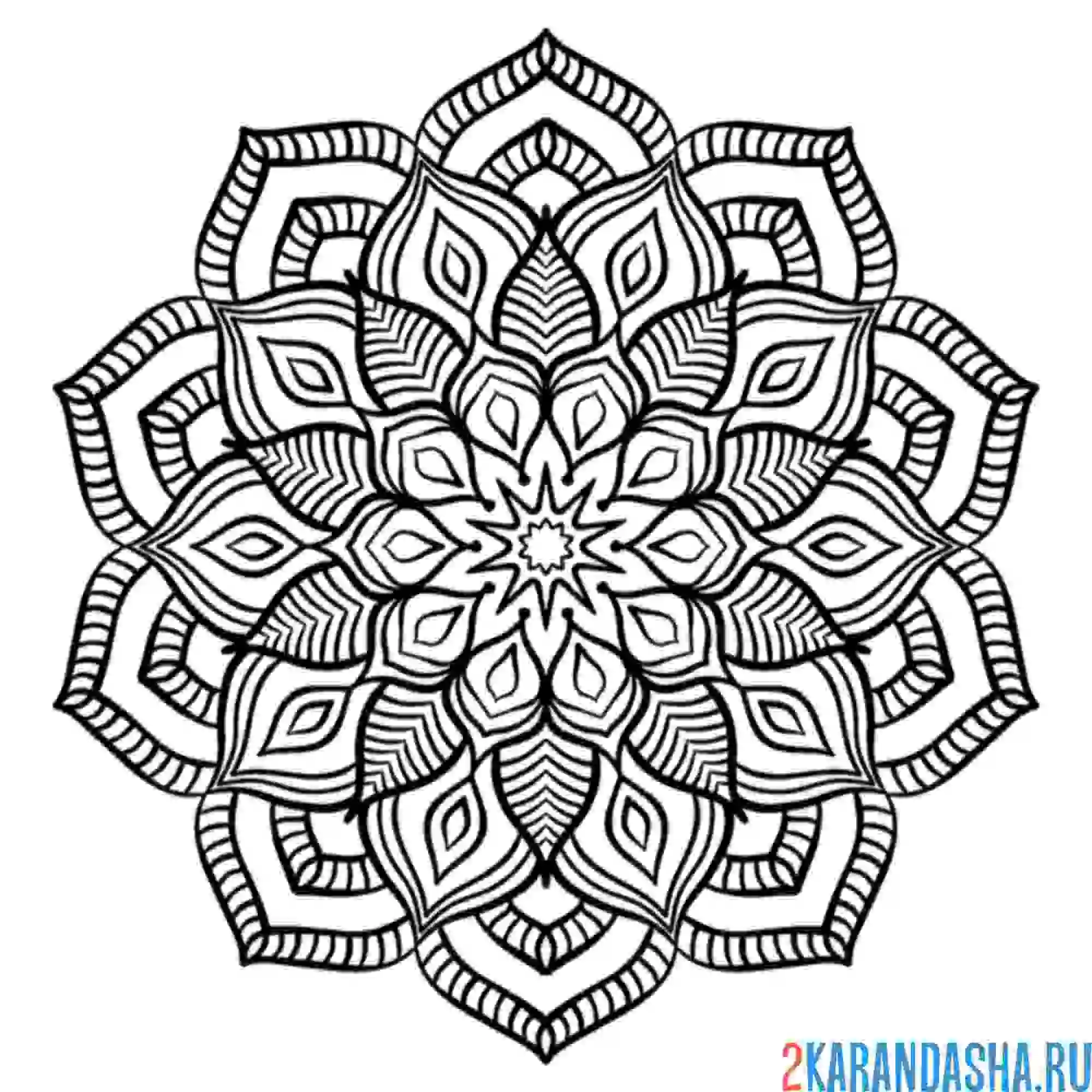 Раскраска мандала поиск ответа