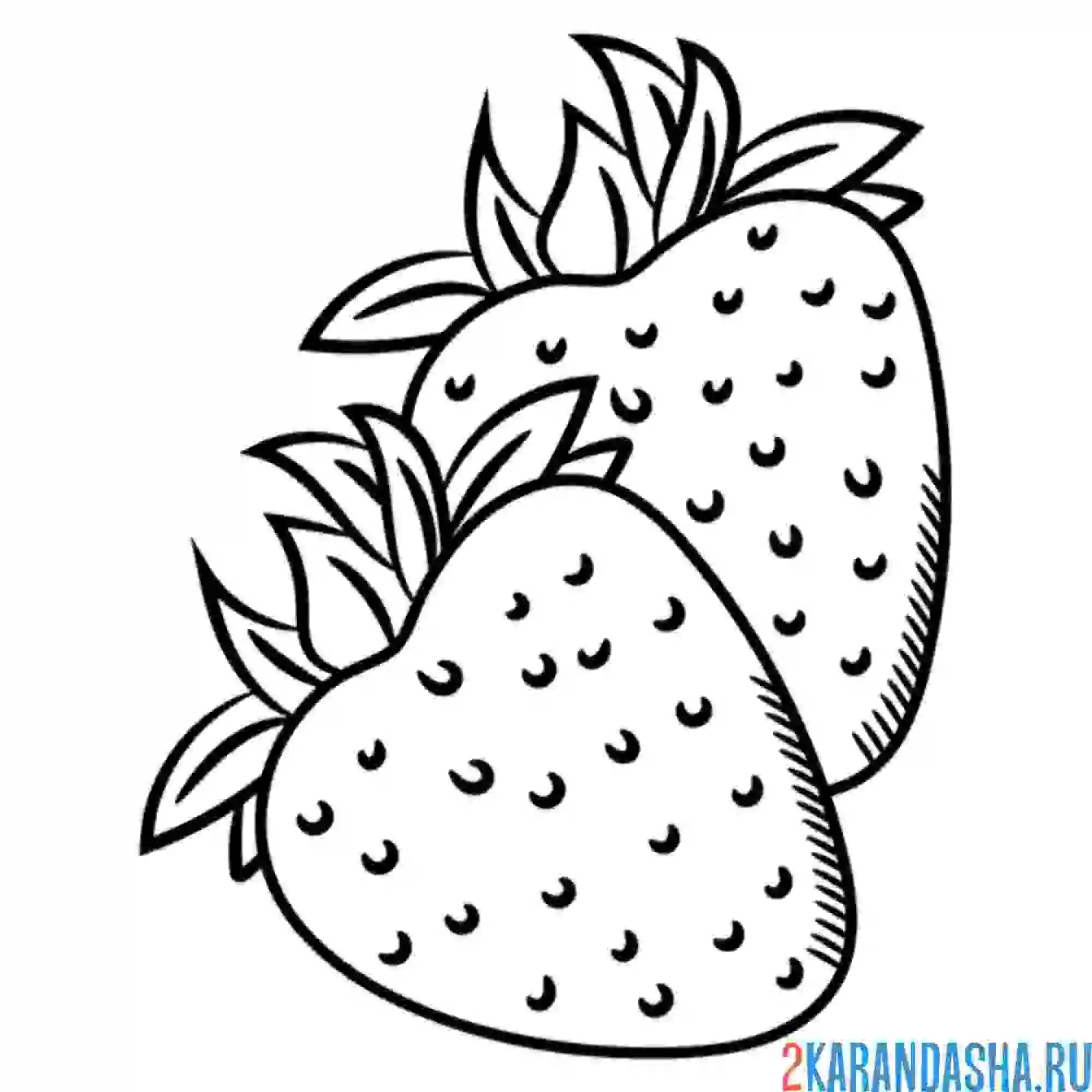 Раскраска две клубники
