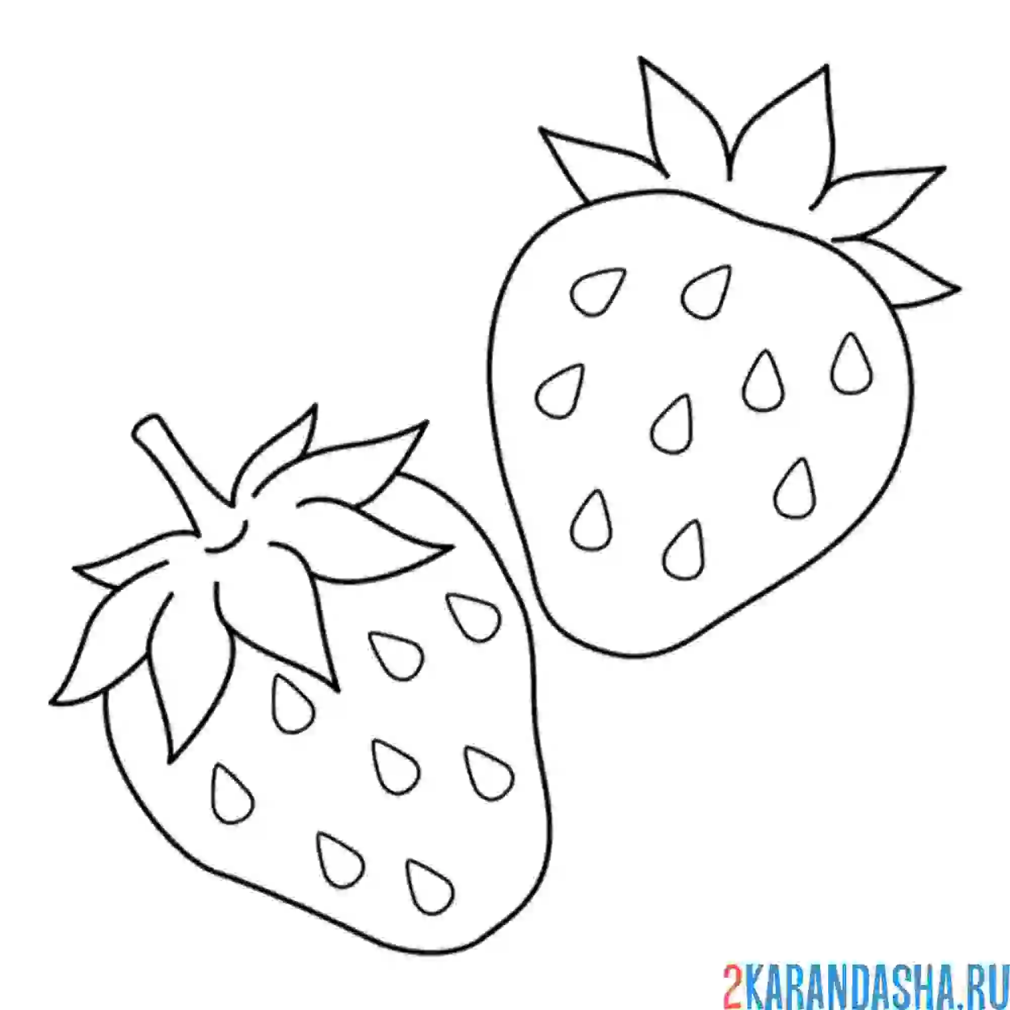 Раскраска клубника рисунок