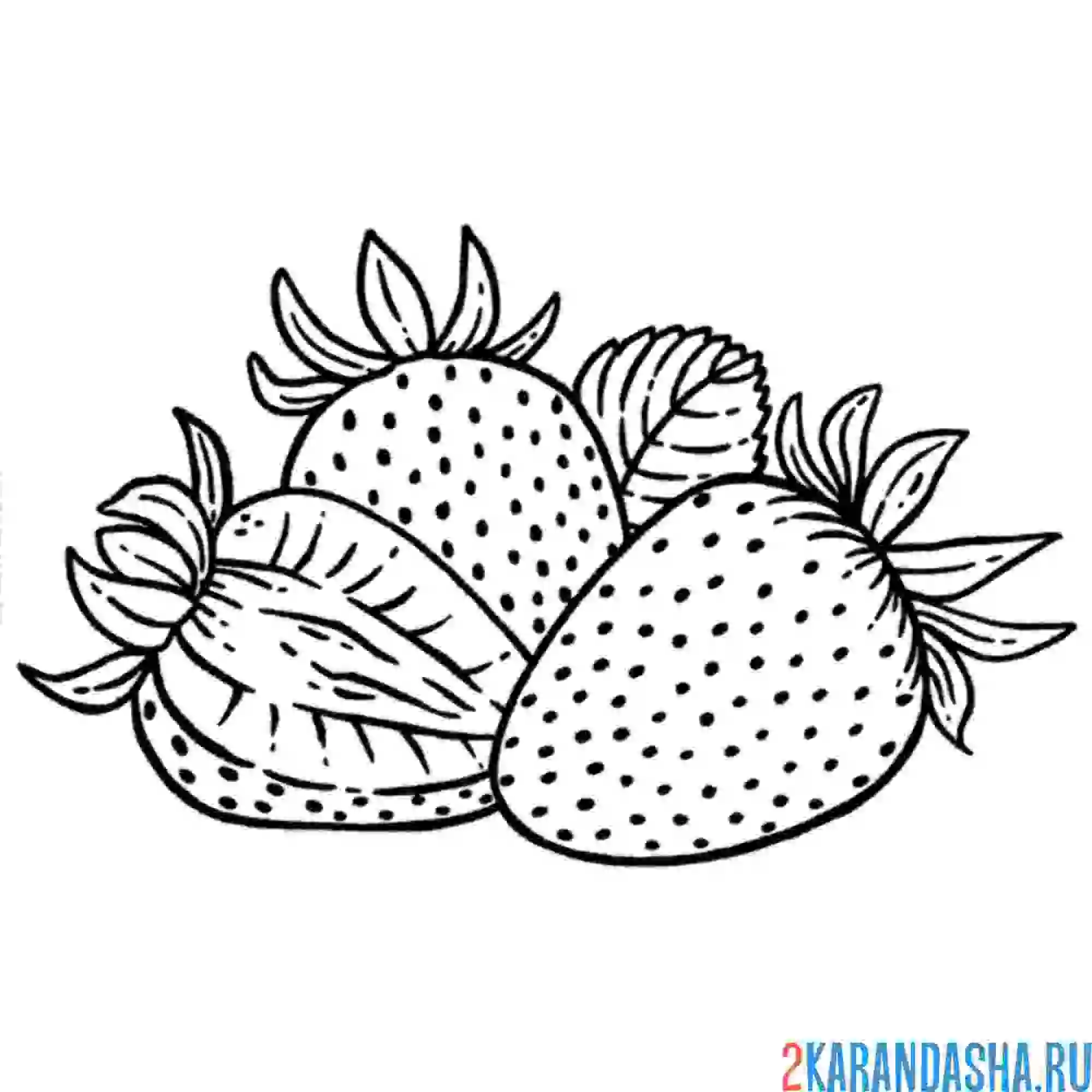 Раскраска клубника в саду