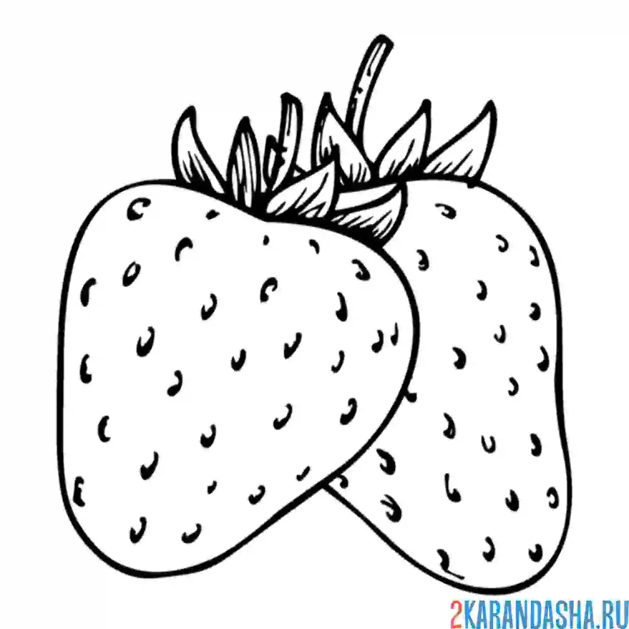 Раскраска клубника чистая