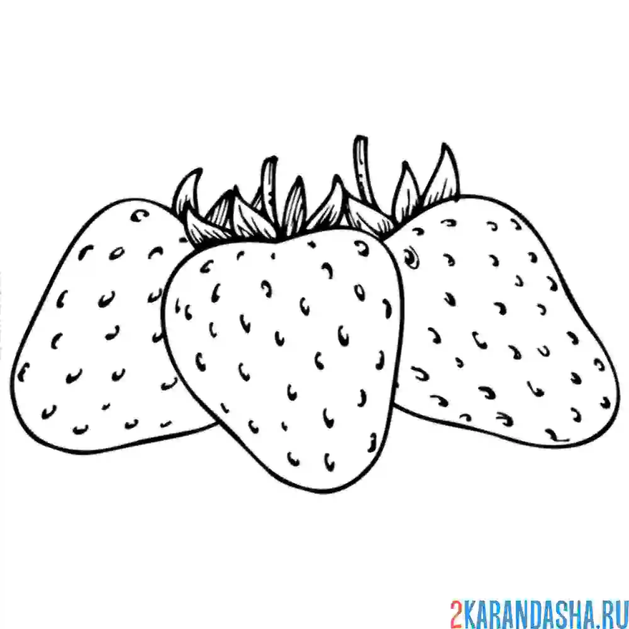 Раскраска клубника мытая