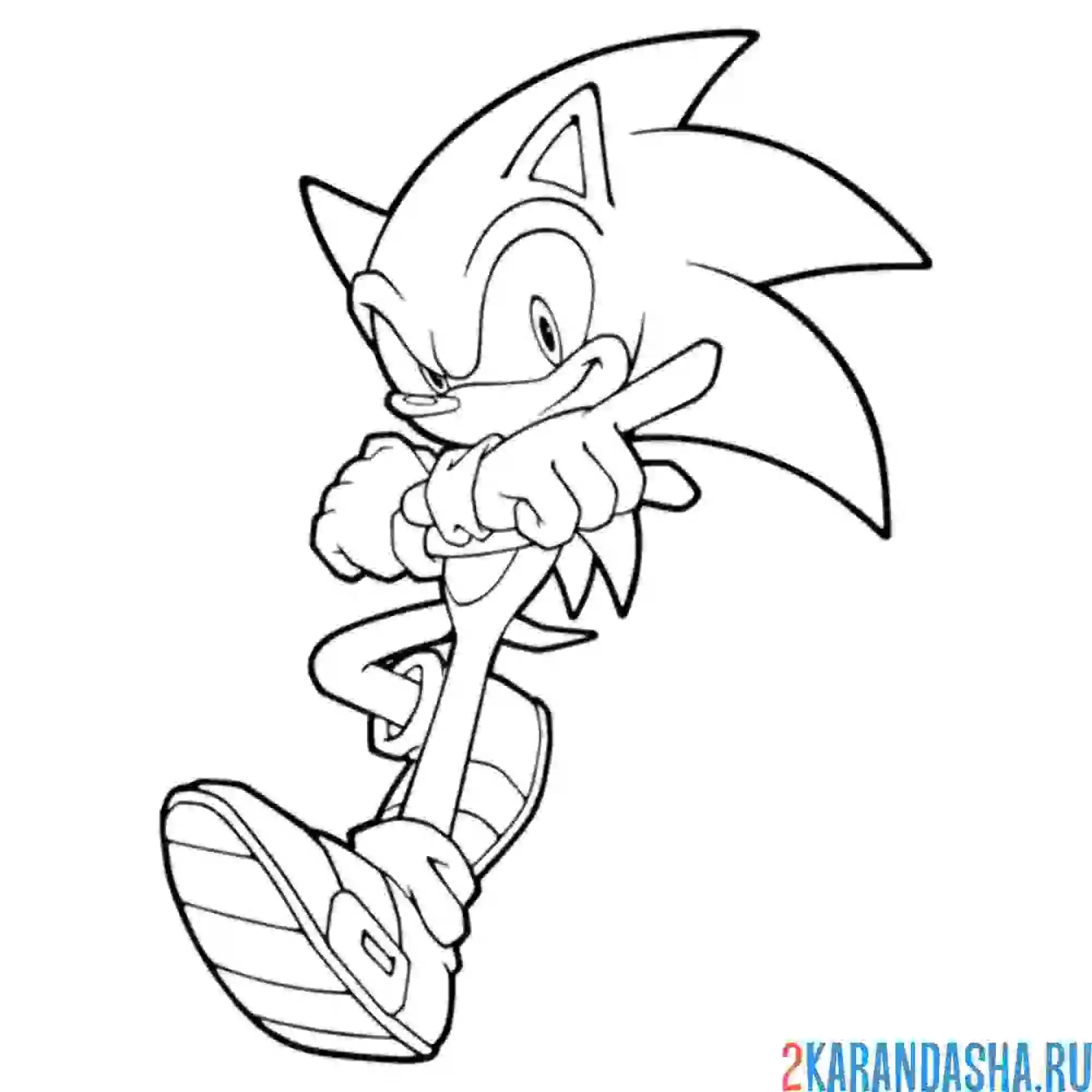 Раскраска сонк показывает