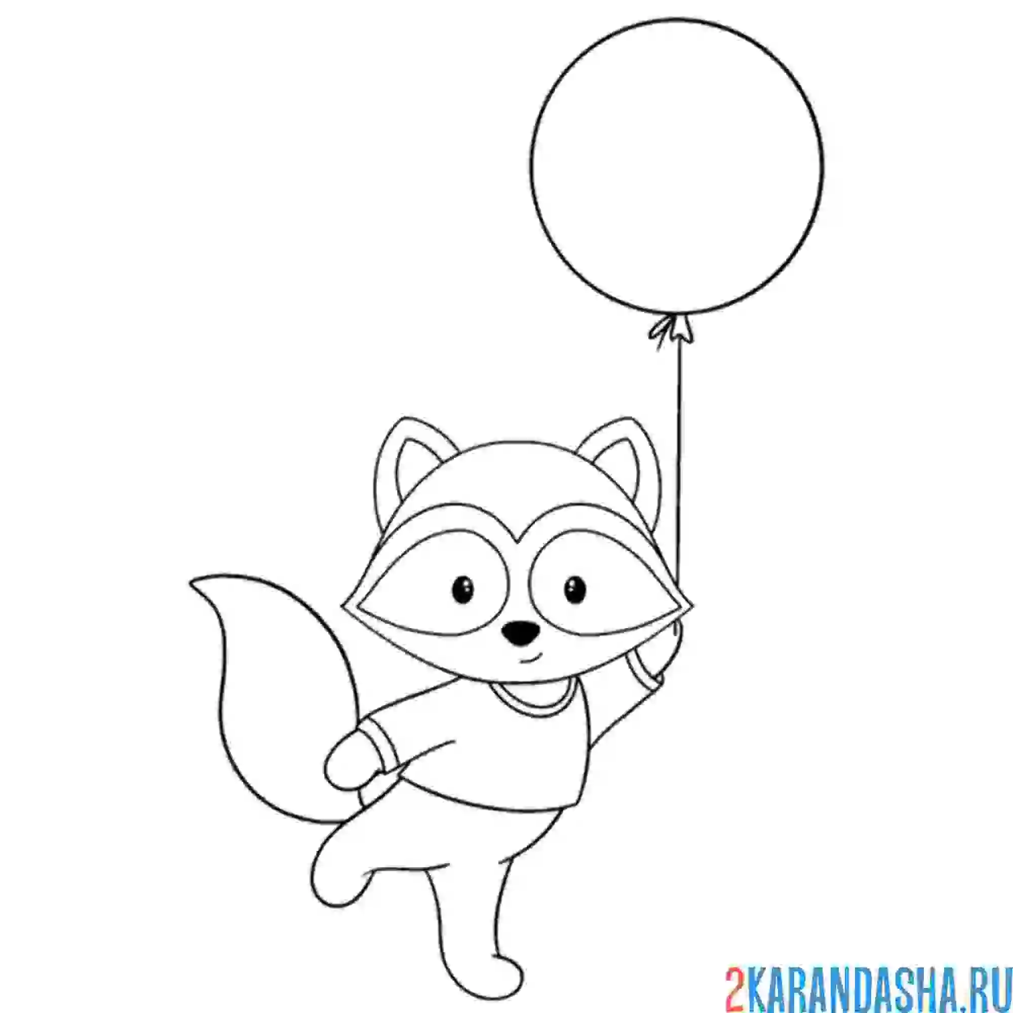 Раскраска енот с шариком