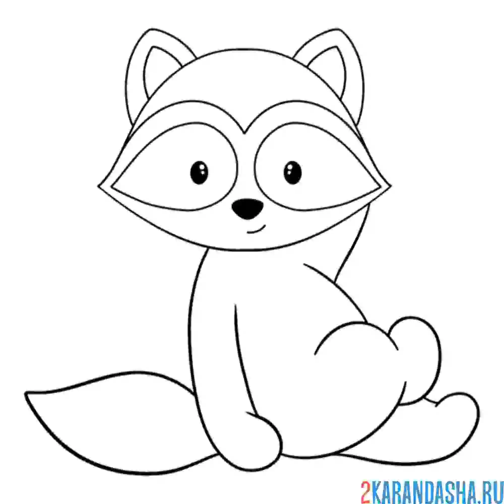Раскраска енот сидит