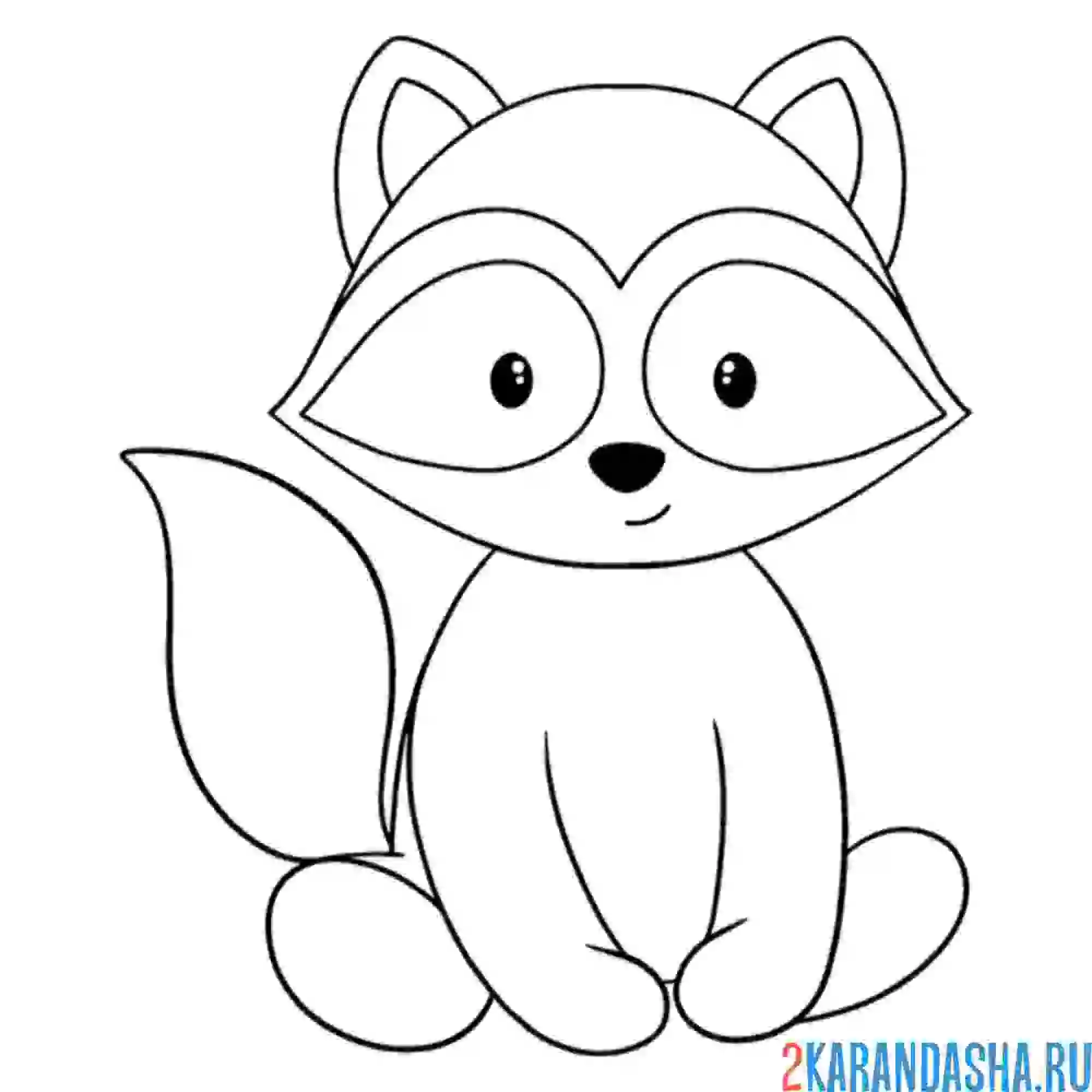 Раскраска енотик сидит