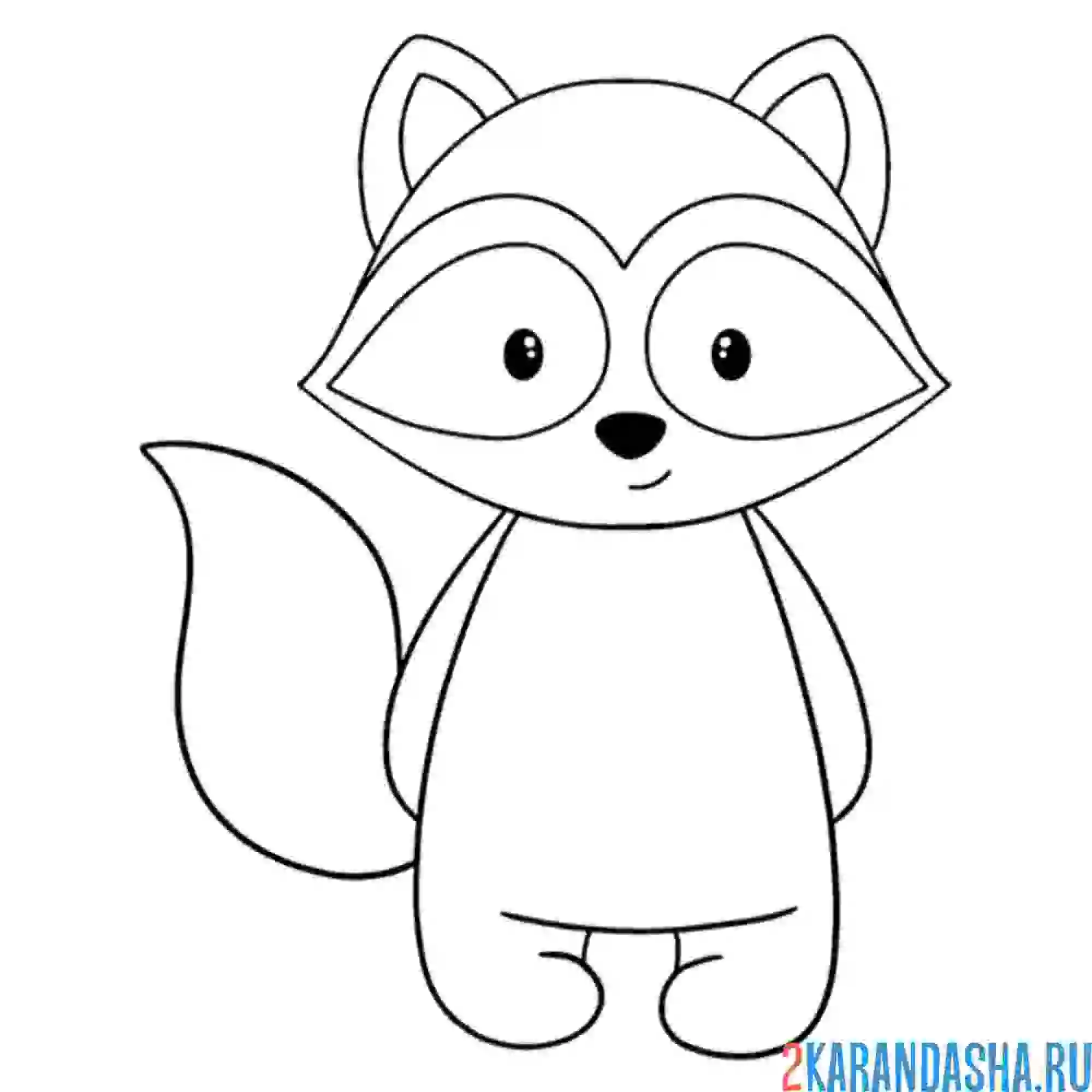 Раскраска енот стоит