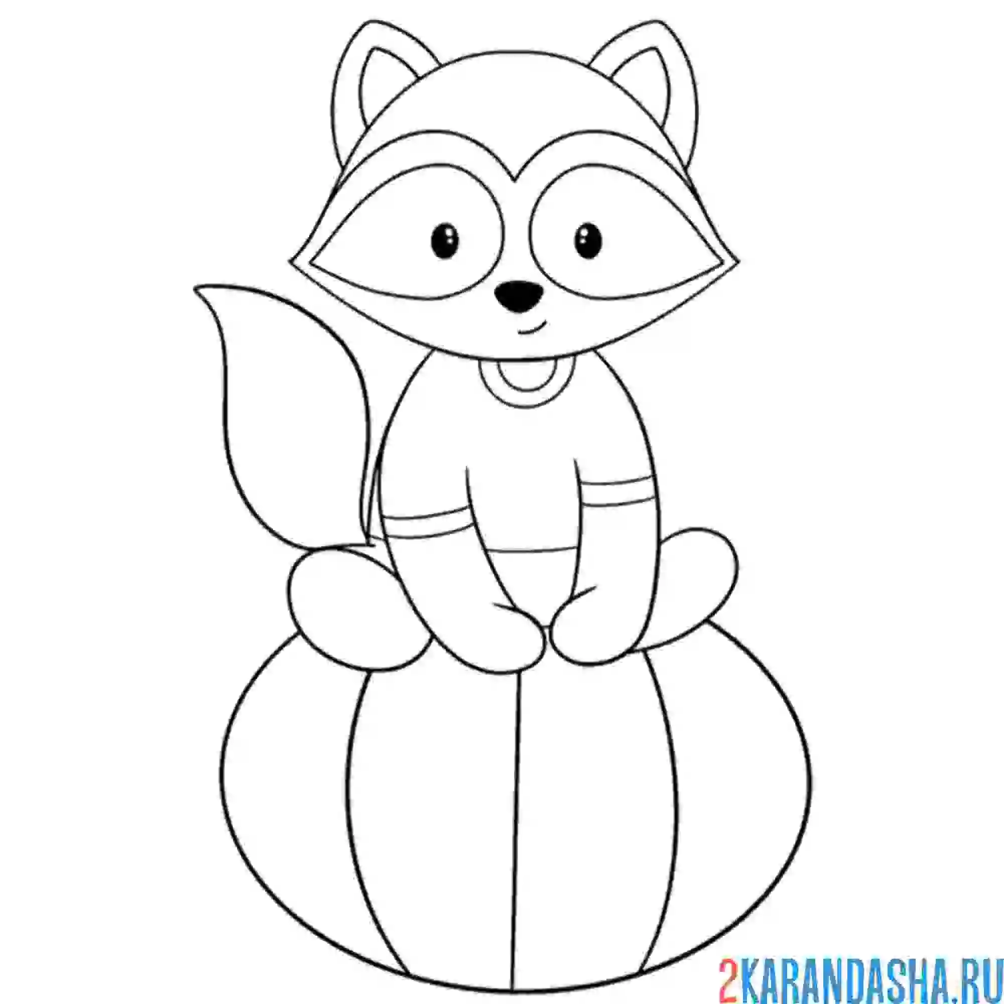 Раскраска енот на тыкве