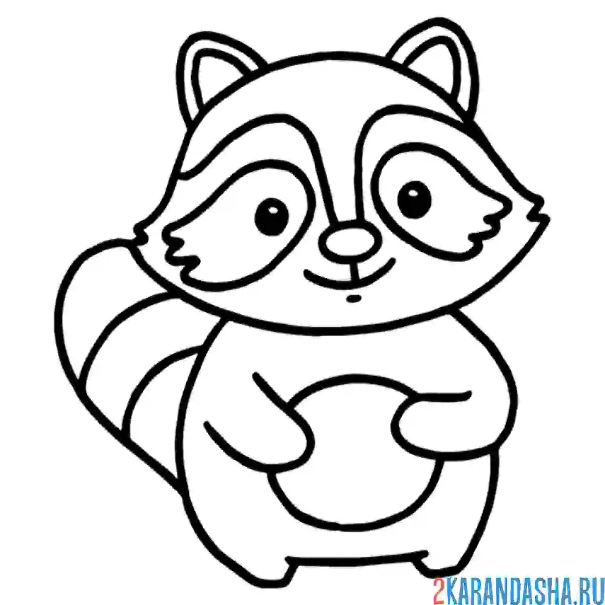 Раскраска малыш-енот