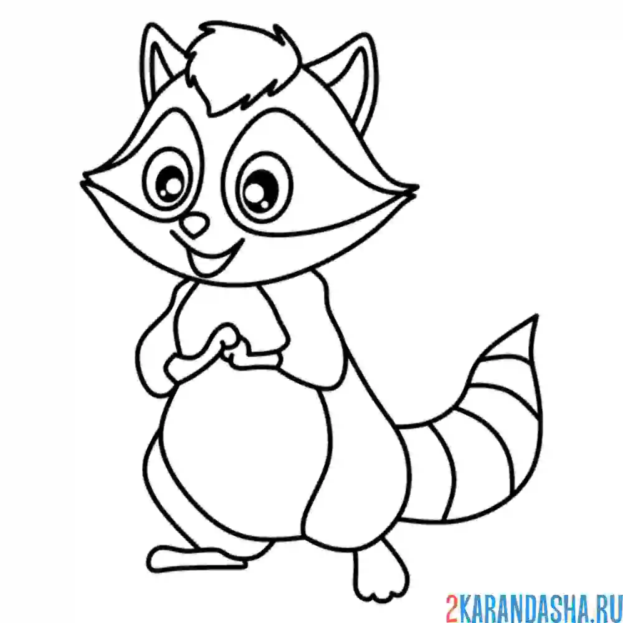 Раскраска енот шаловливый