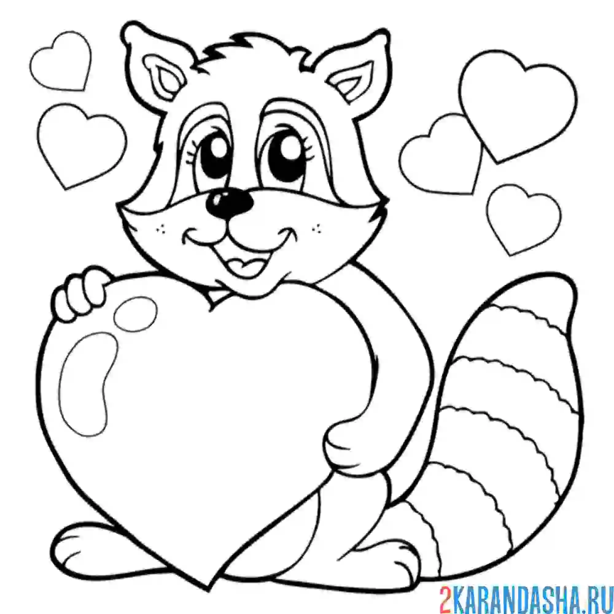 Раскраска енот и сердечко