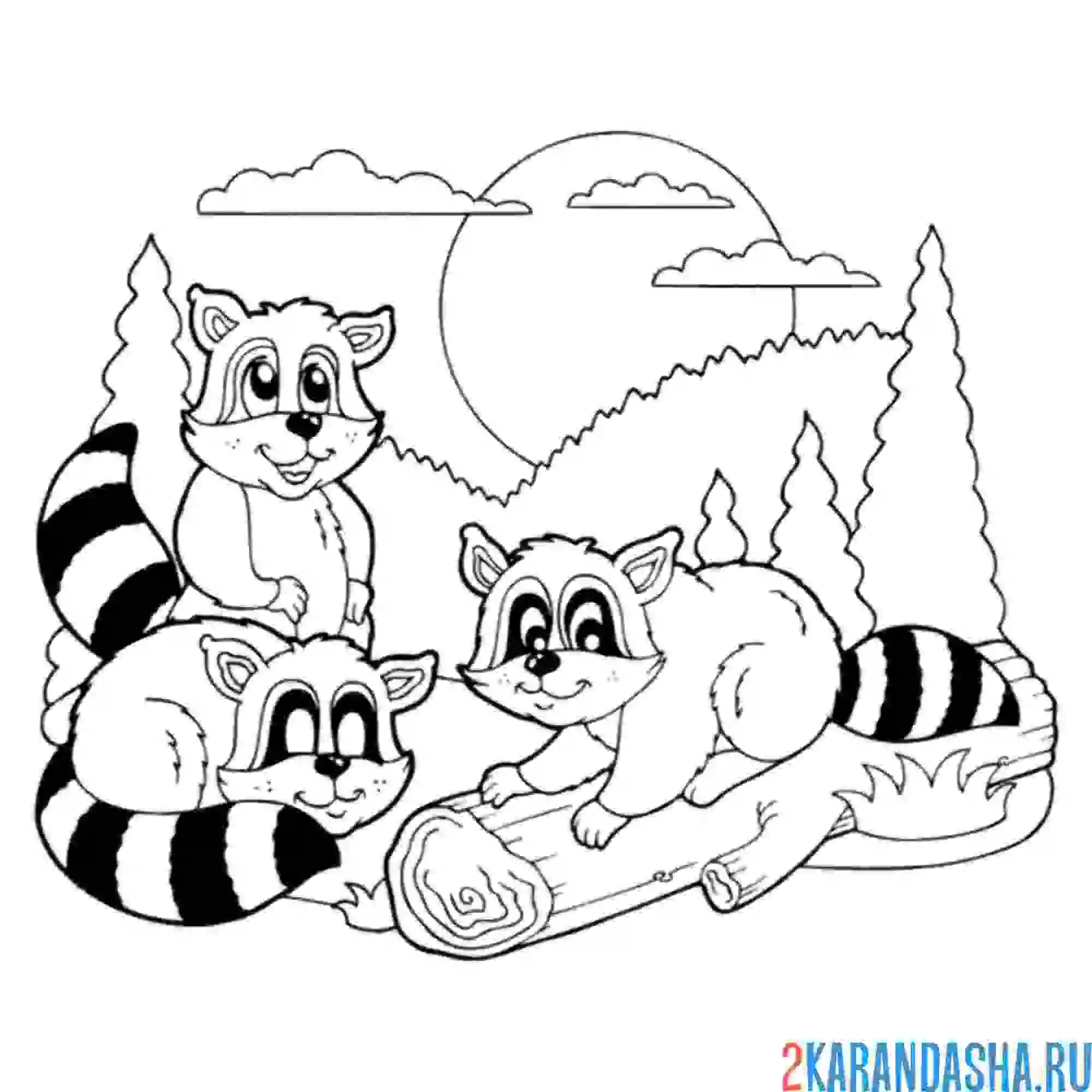 Раскраска хулиганы еноты