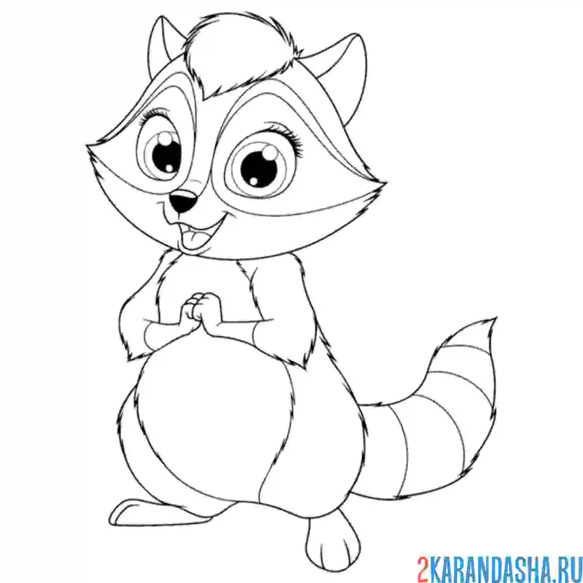 Раскраска красивый енот