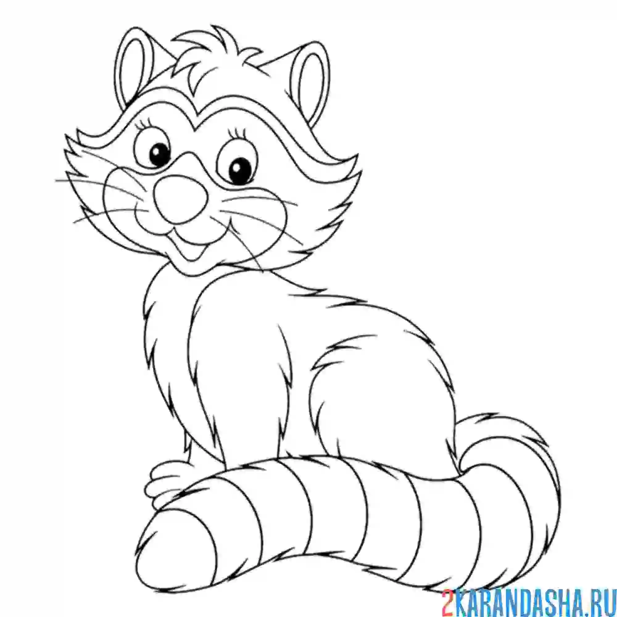 Раскраска енот сидит пушистый хвост