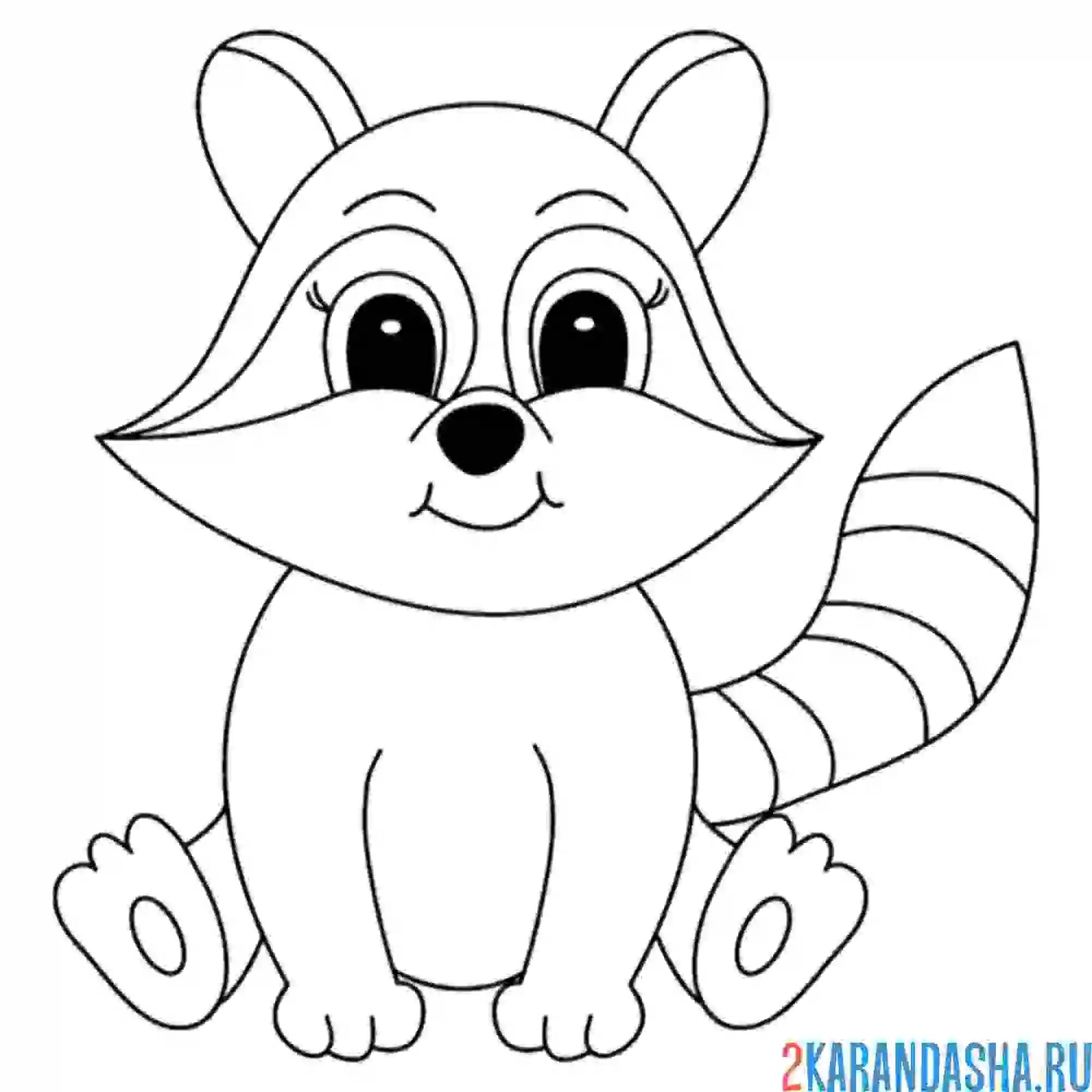 Раскраска енот маленький