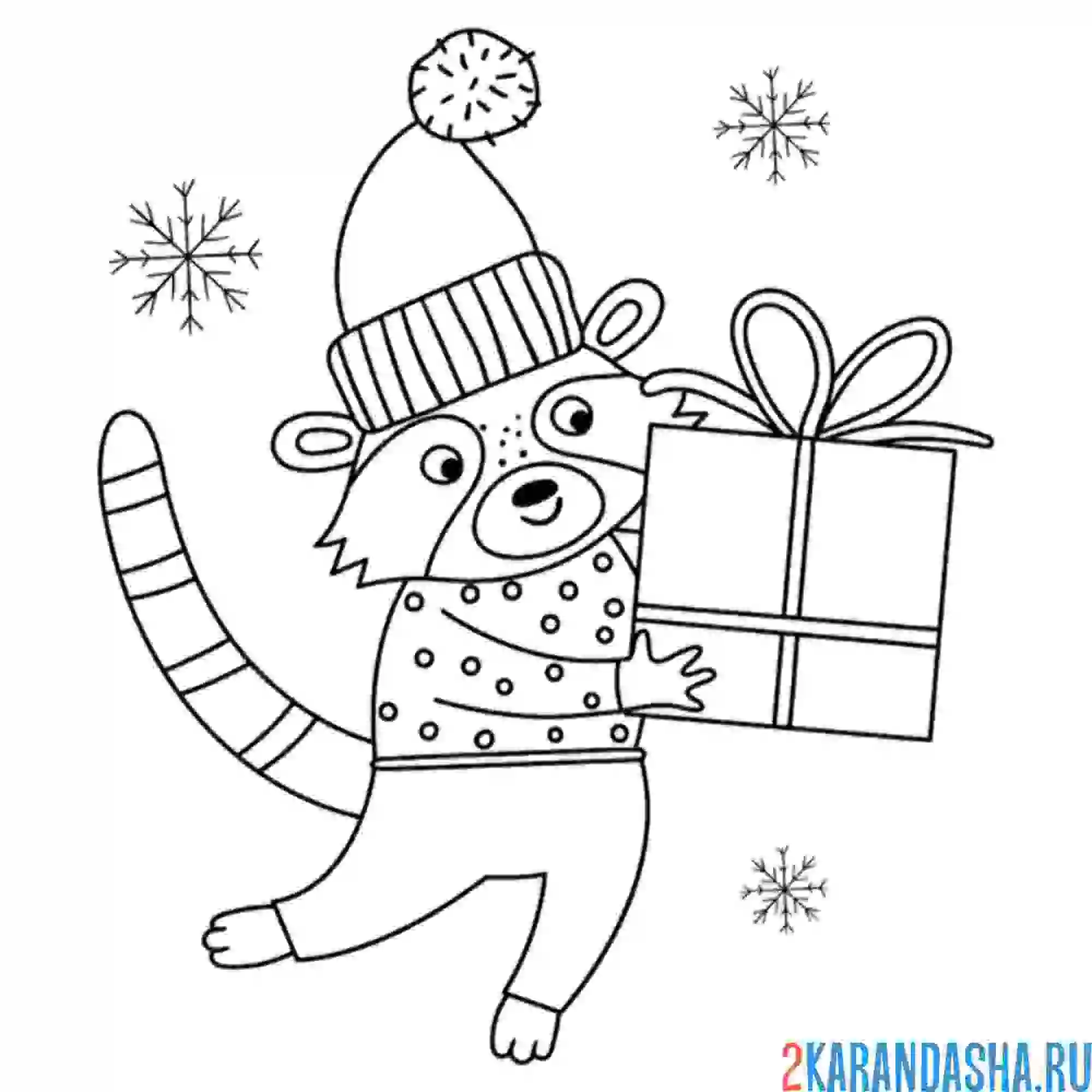 Раскраска енот с подарком