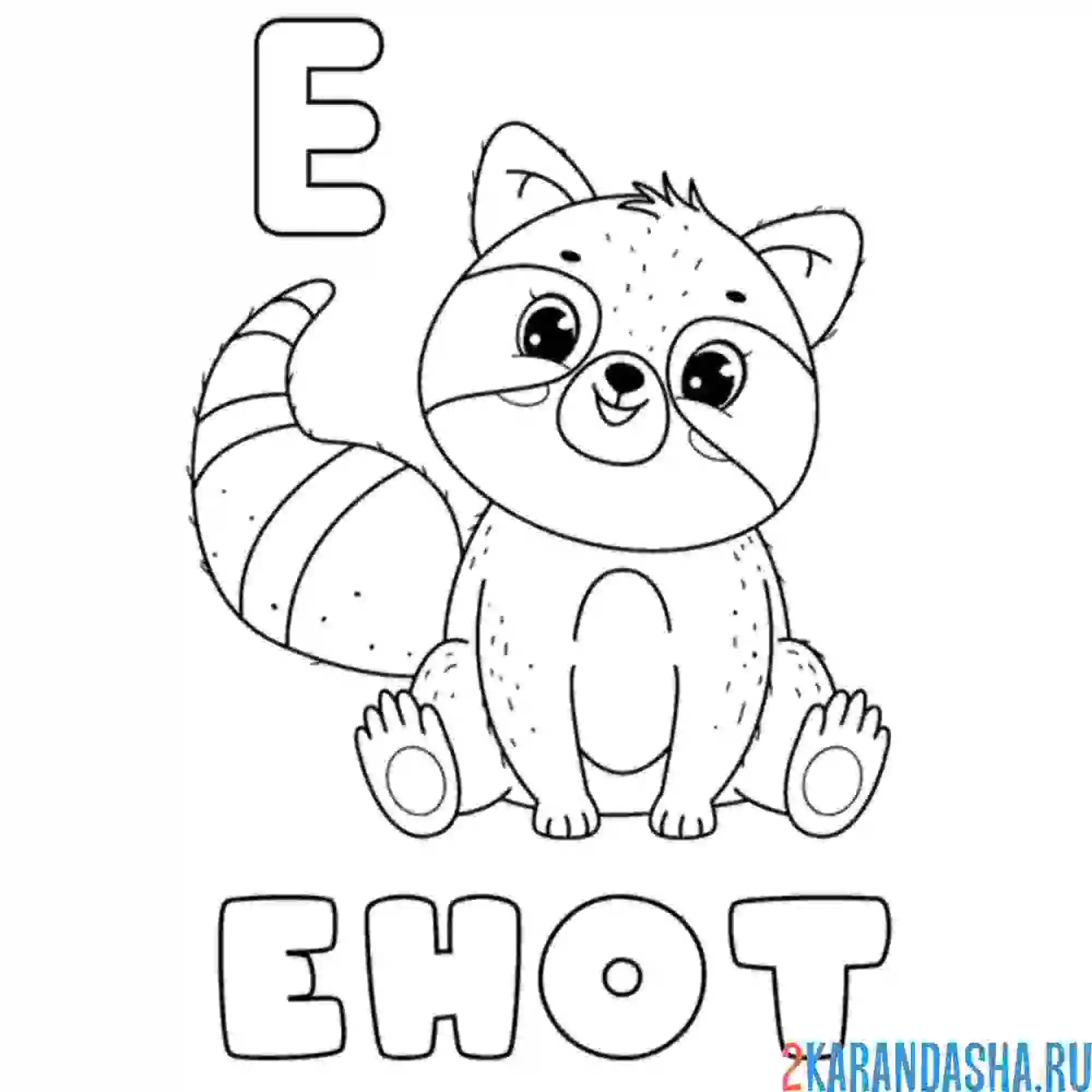 Раскраска енот буква е