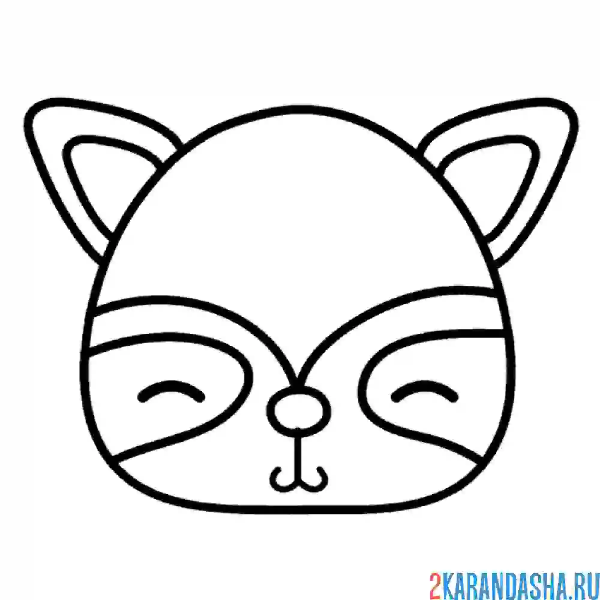 Раскраска маска енот