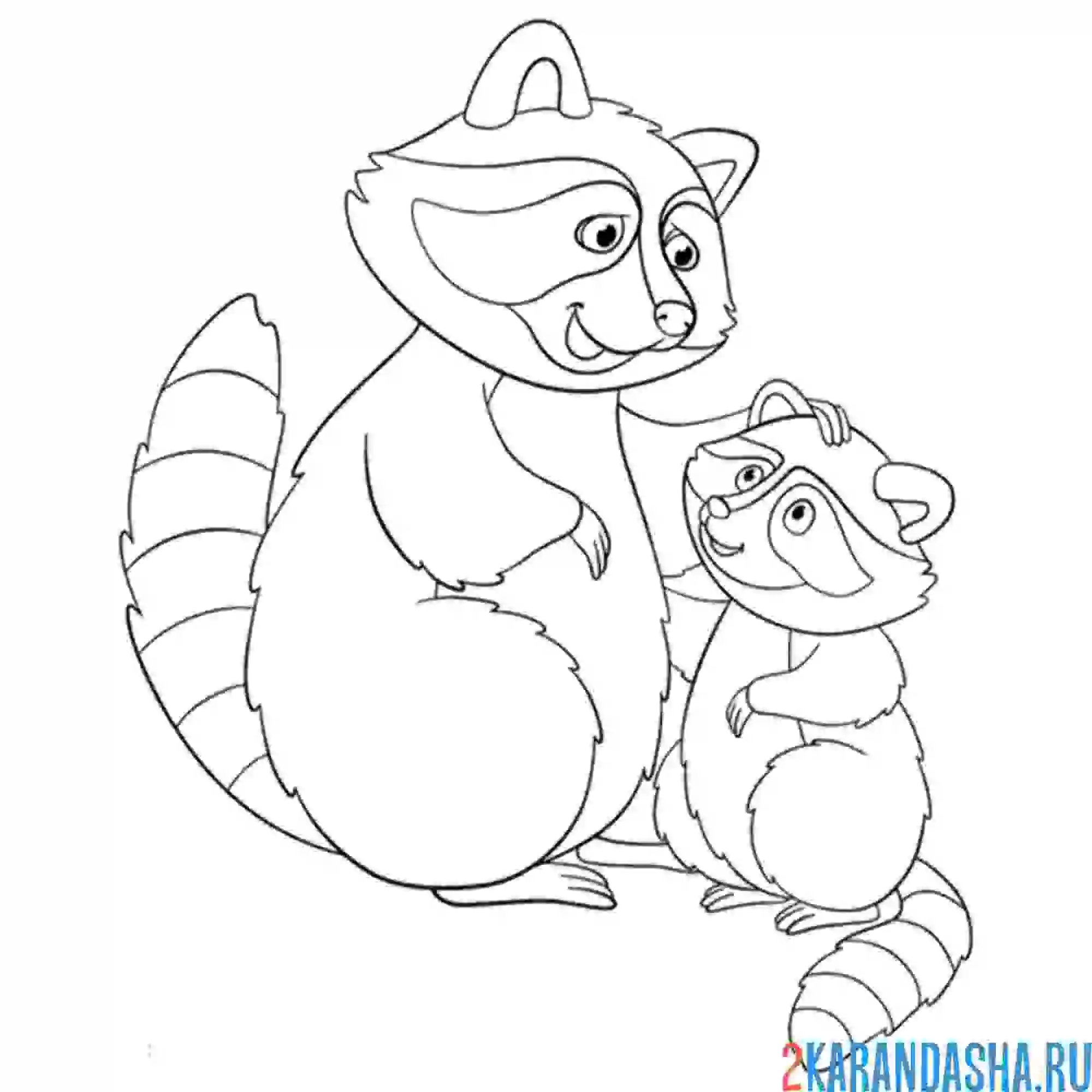 Раскраска семья еноты