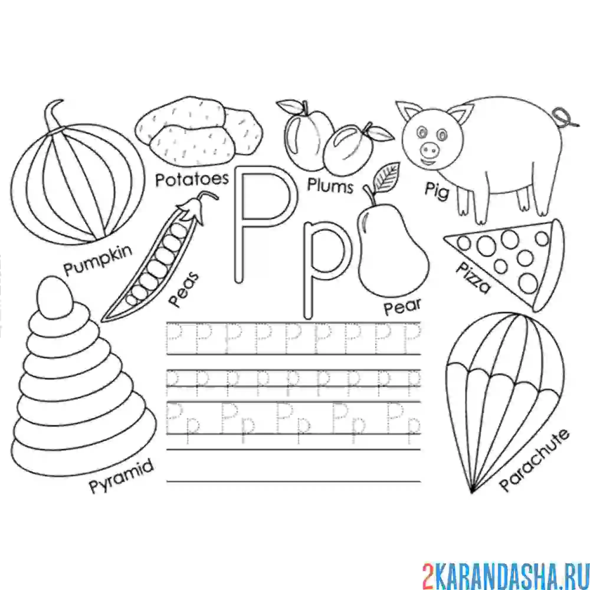 Раскраска английские прописи буква p