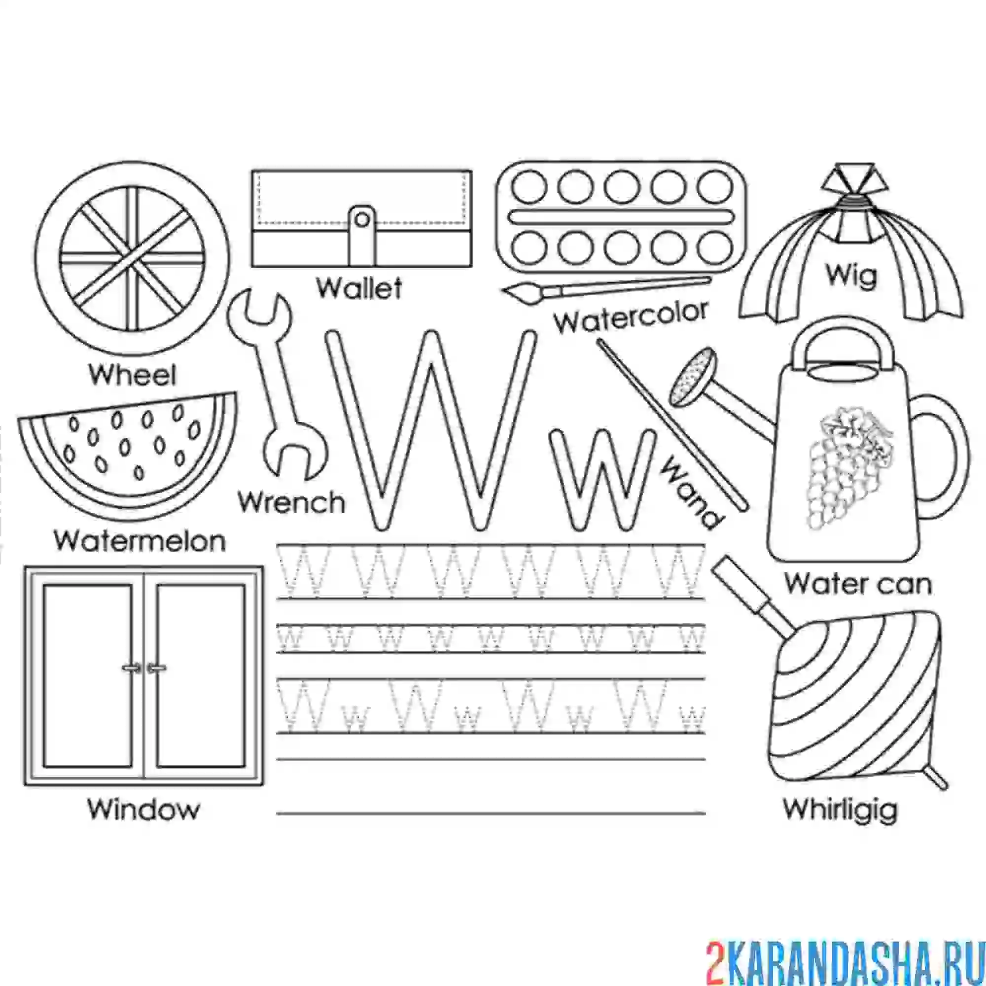Раскраска английские прописи буква w