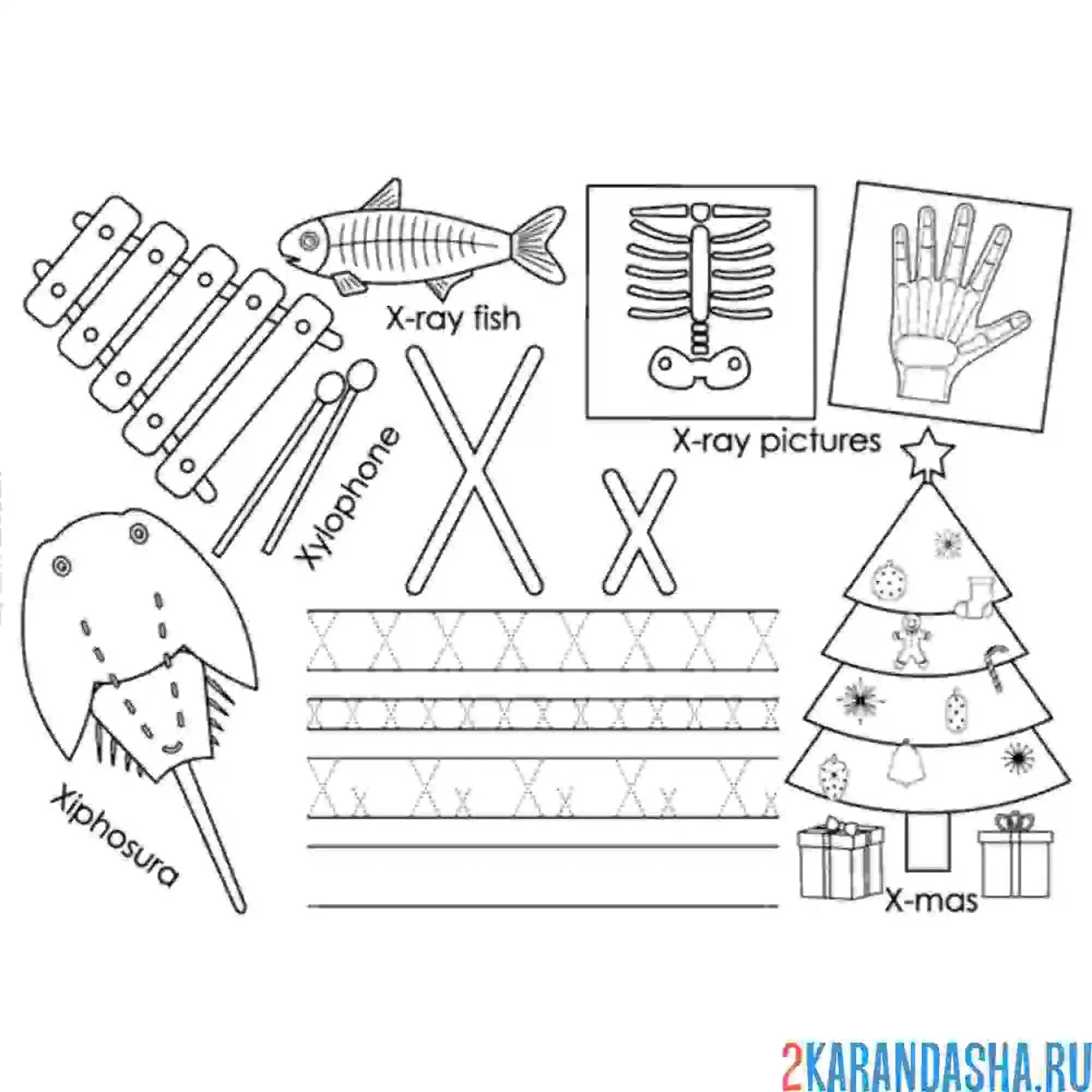 Раскраска английские прописи буква x