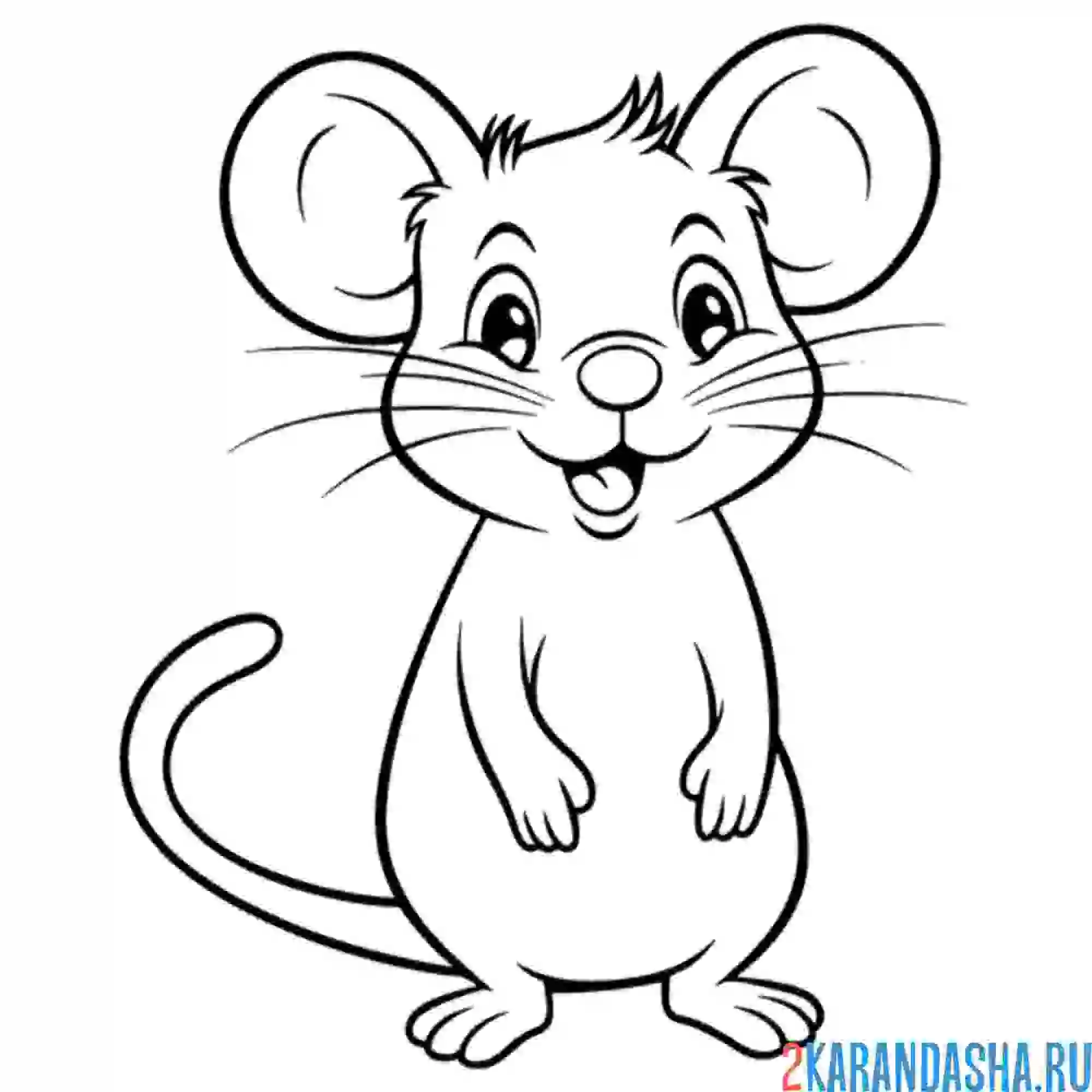 Раскраска милый мышонок стоит