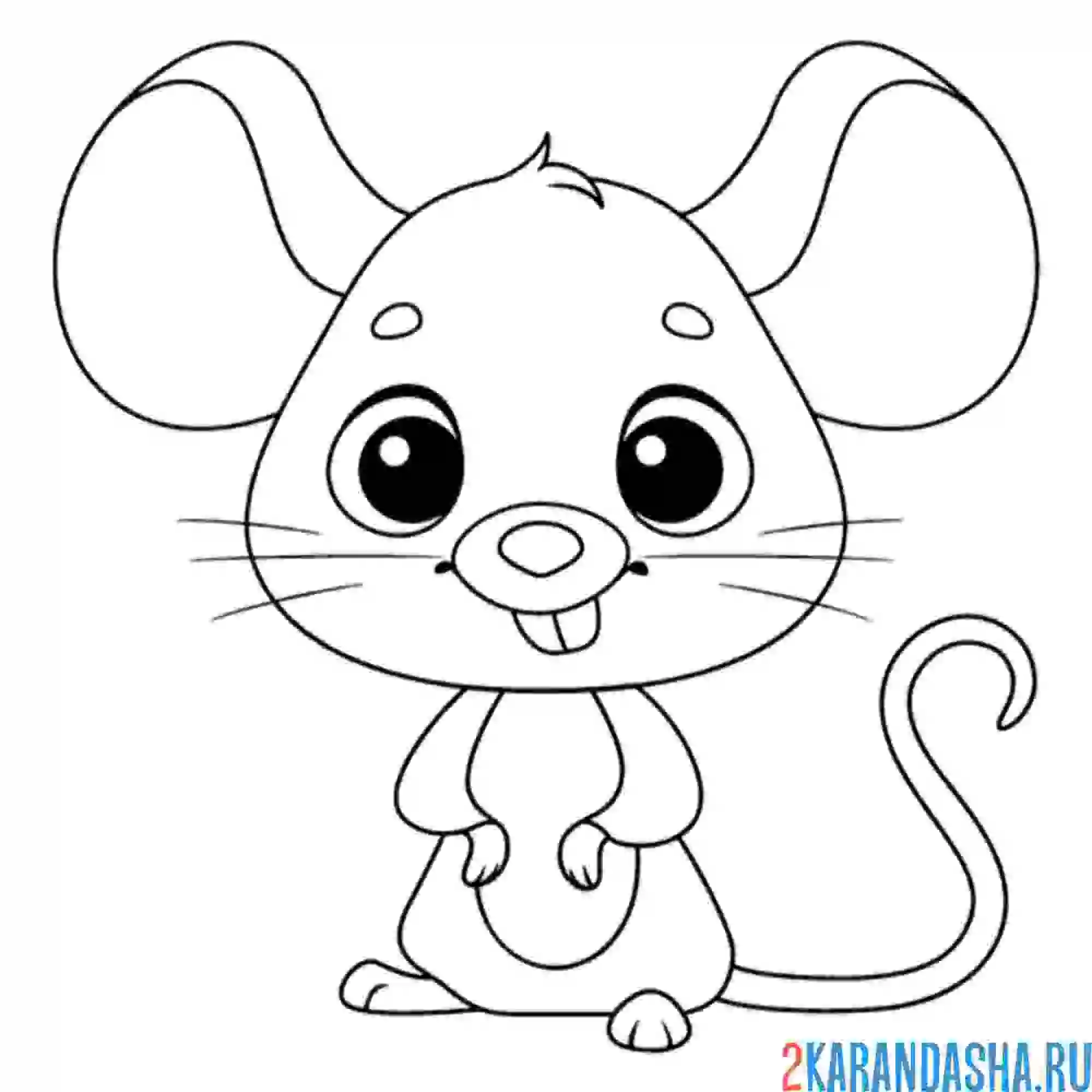 Раскраска мышка с зубками