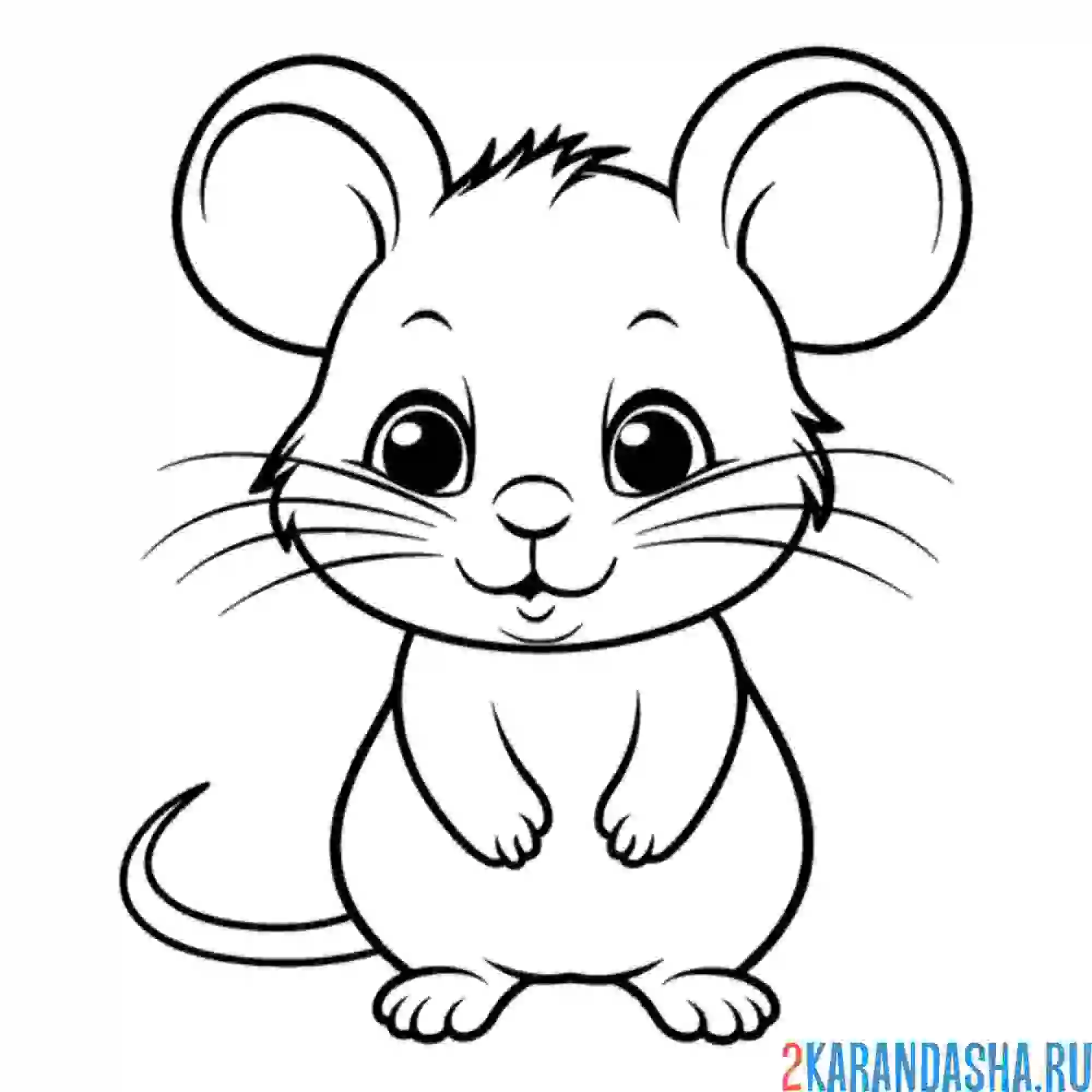 Раскраска мышонок и хвостик