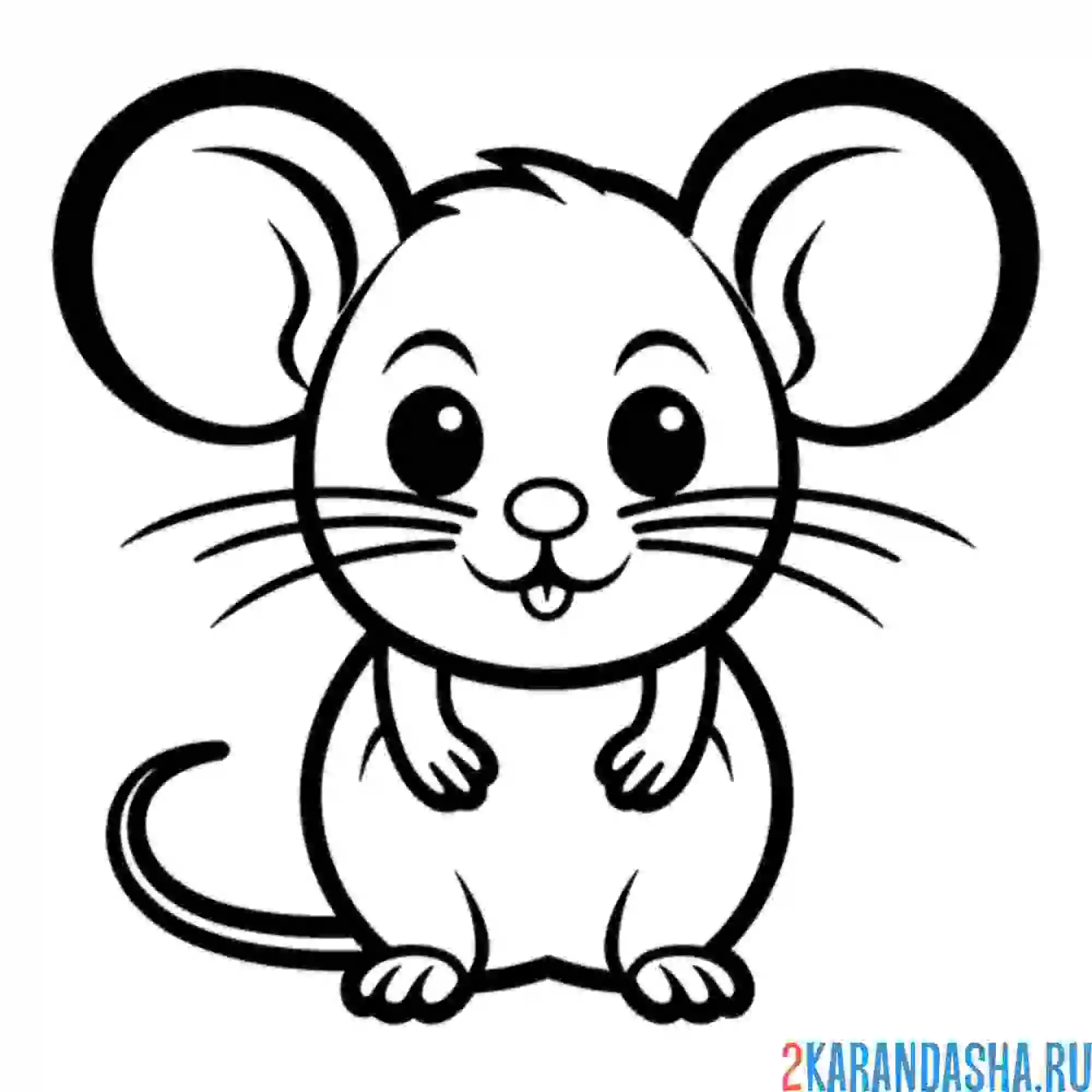 Раскраска круглый мышонок