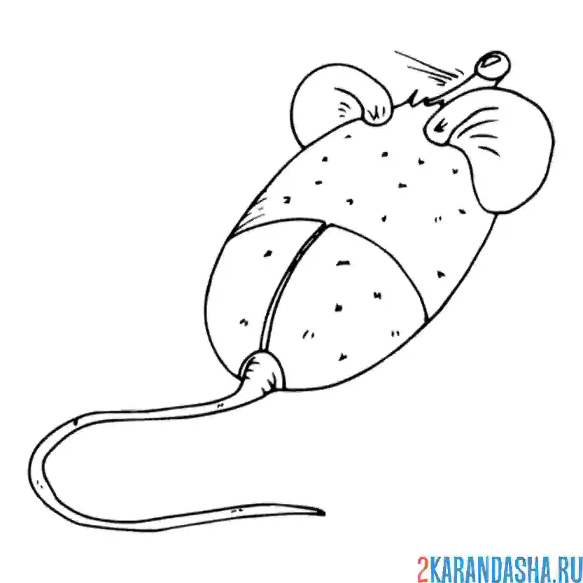 Раскраска компьютерная мышка с ушами