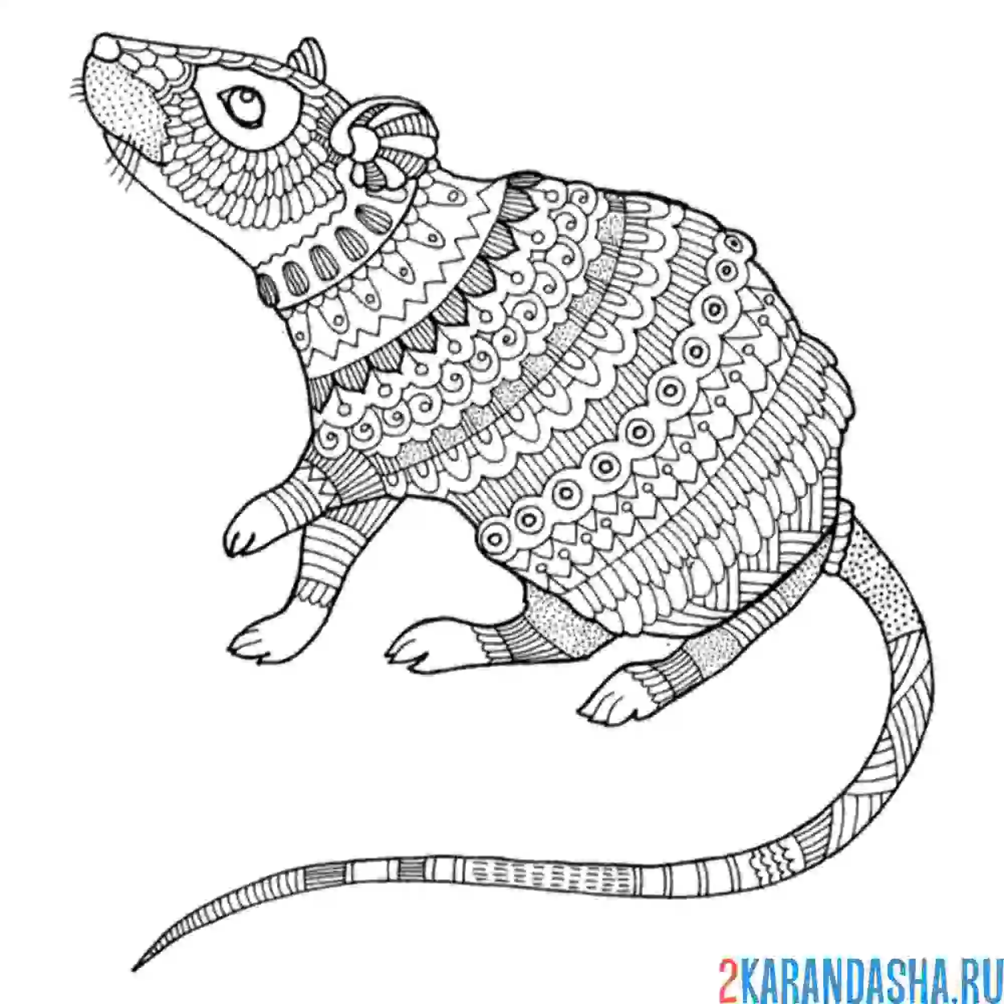 Раскраска антистресс-мышка