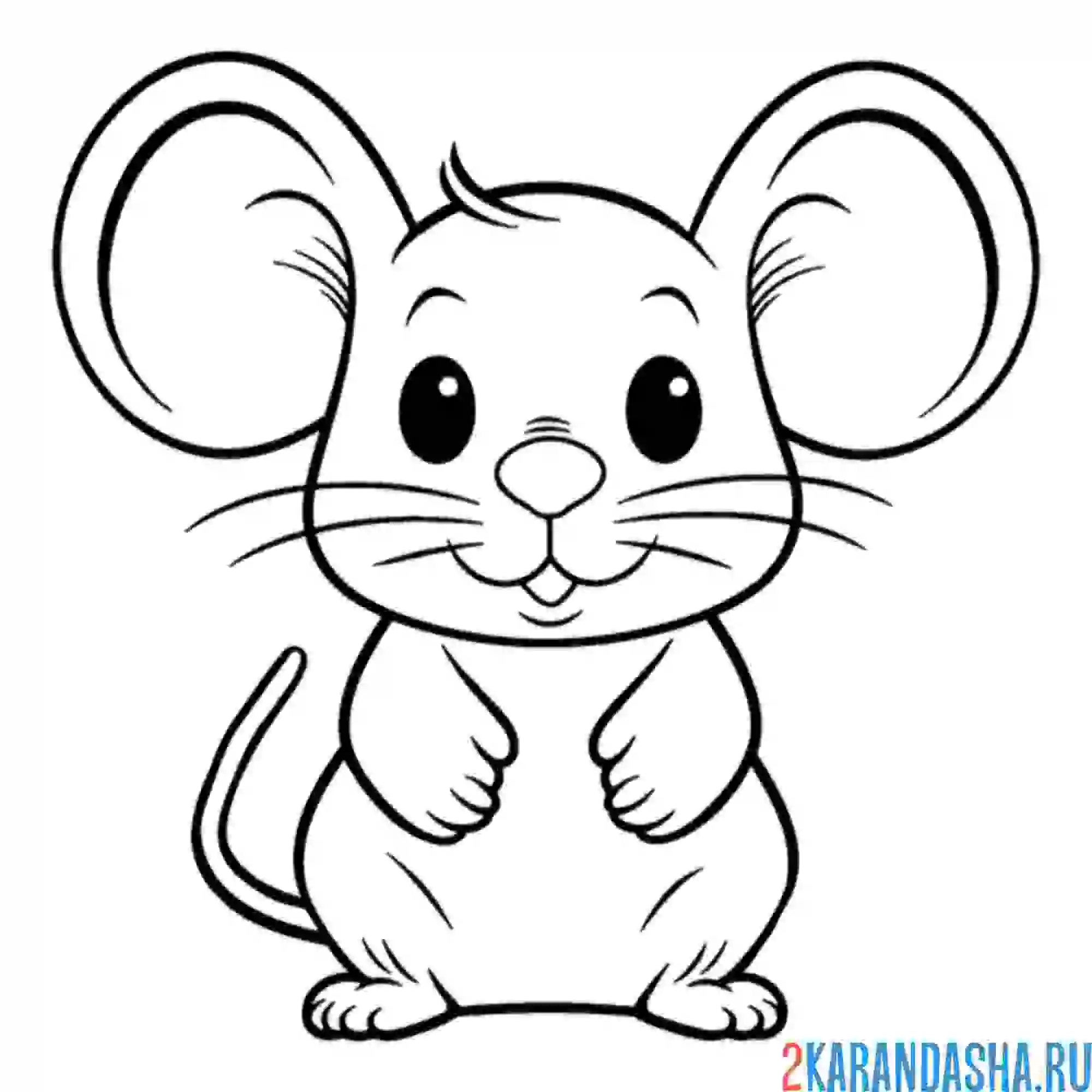 Раскраска мышка с ушами