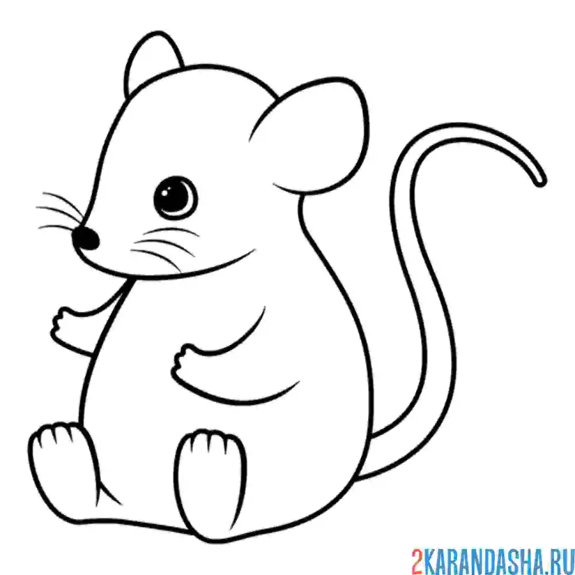 Раскраска забавная мышка