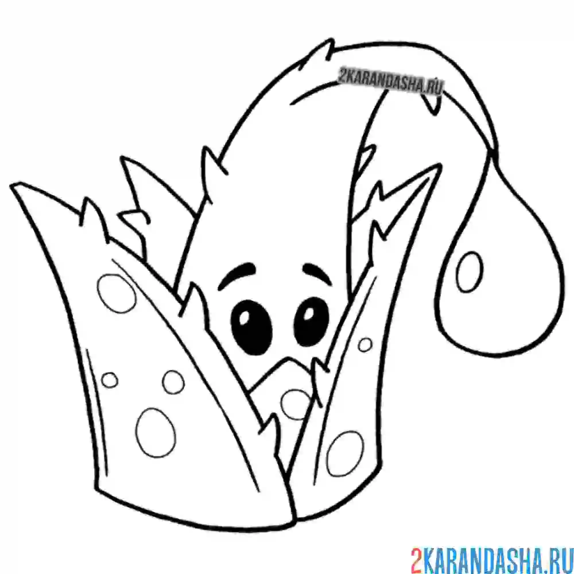 Раскраска алоэ часть 2