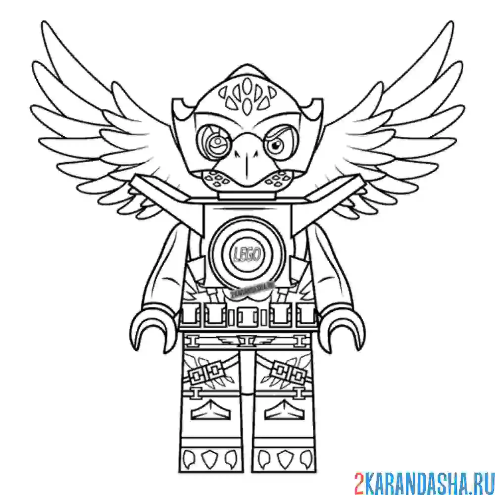 Раскраска чима орел эрис