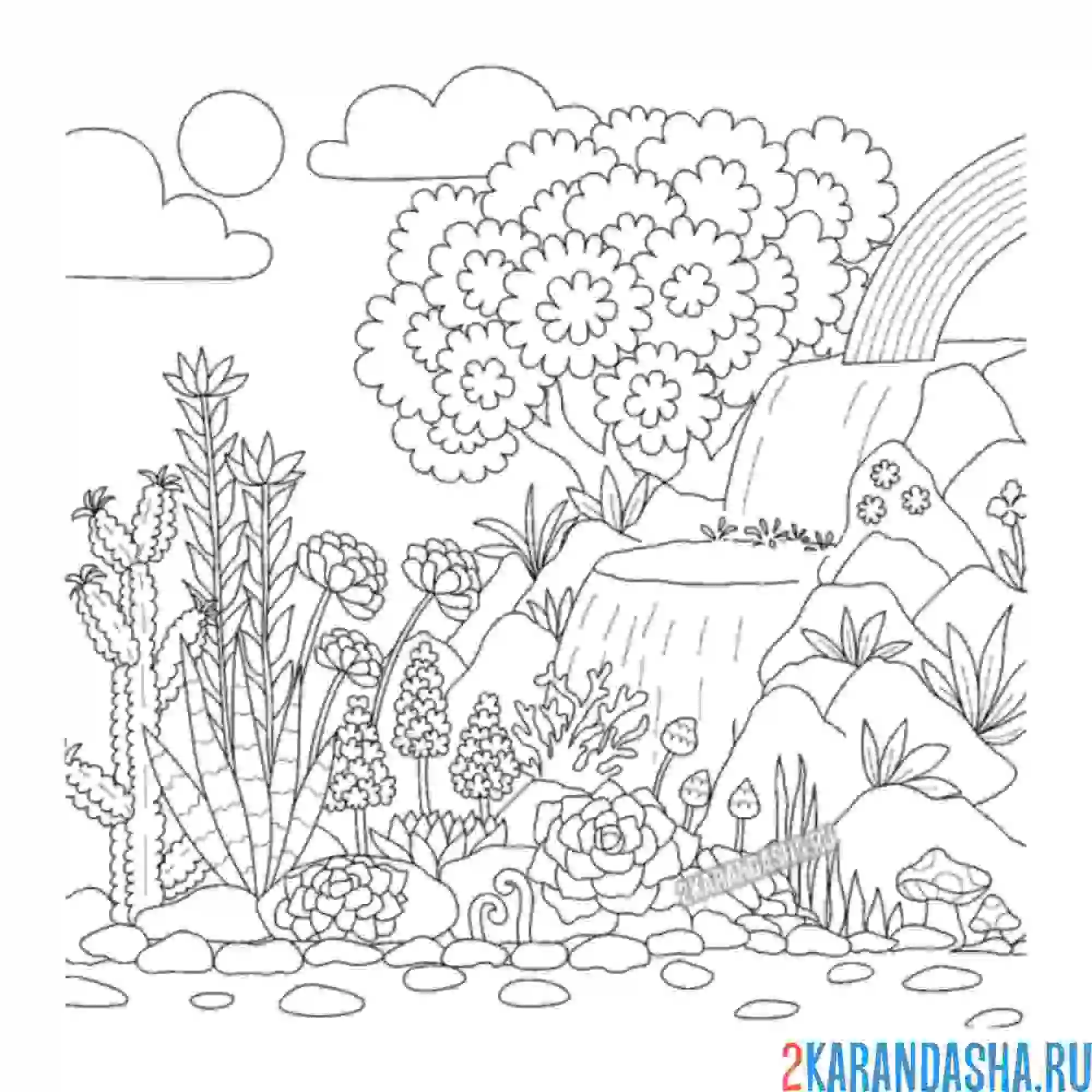 Раскраска цветущий лес