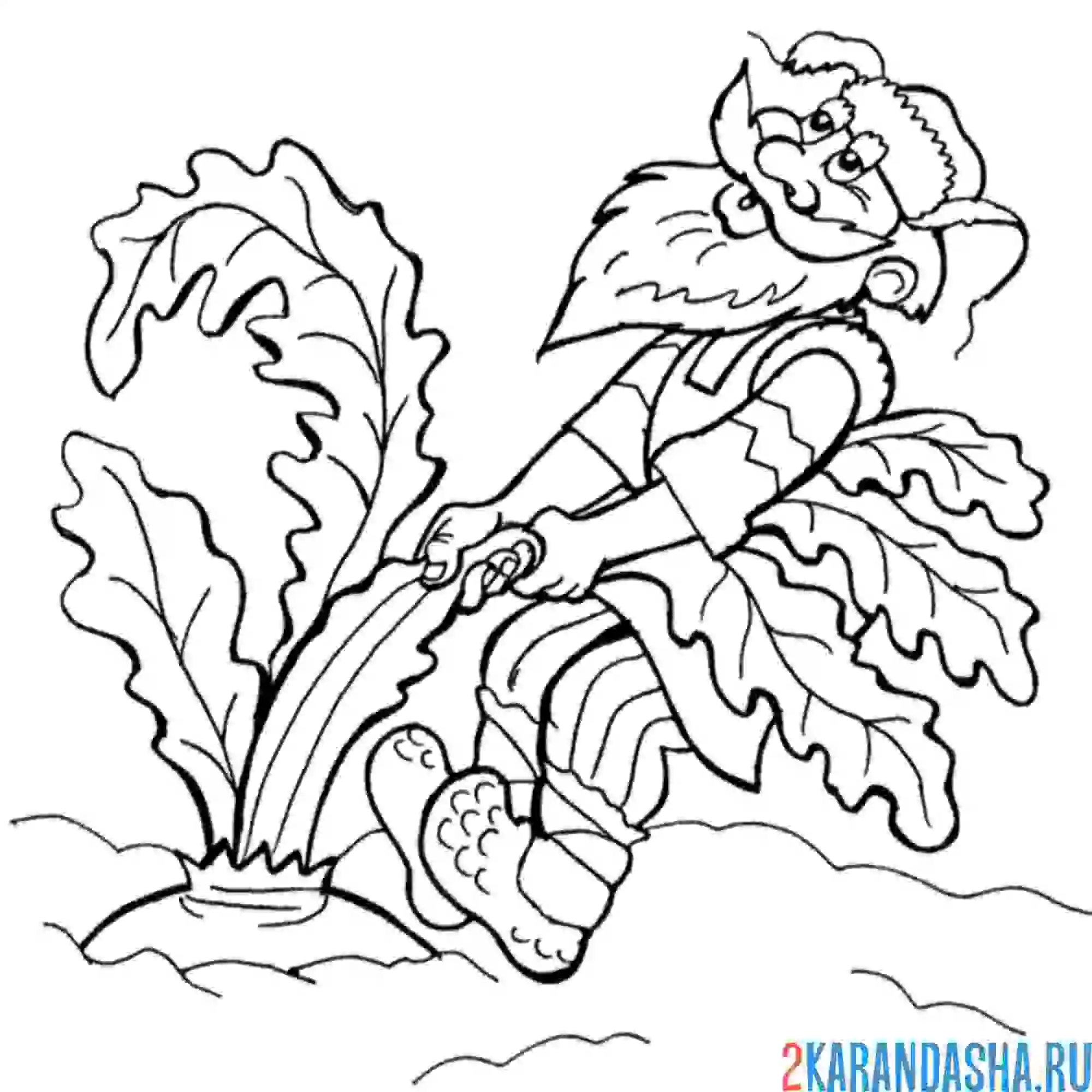 Раскраска дед тянет репку