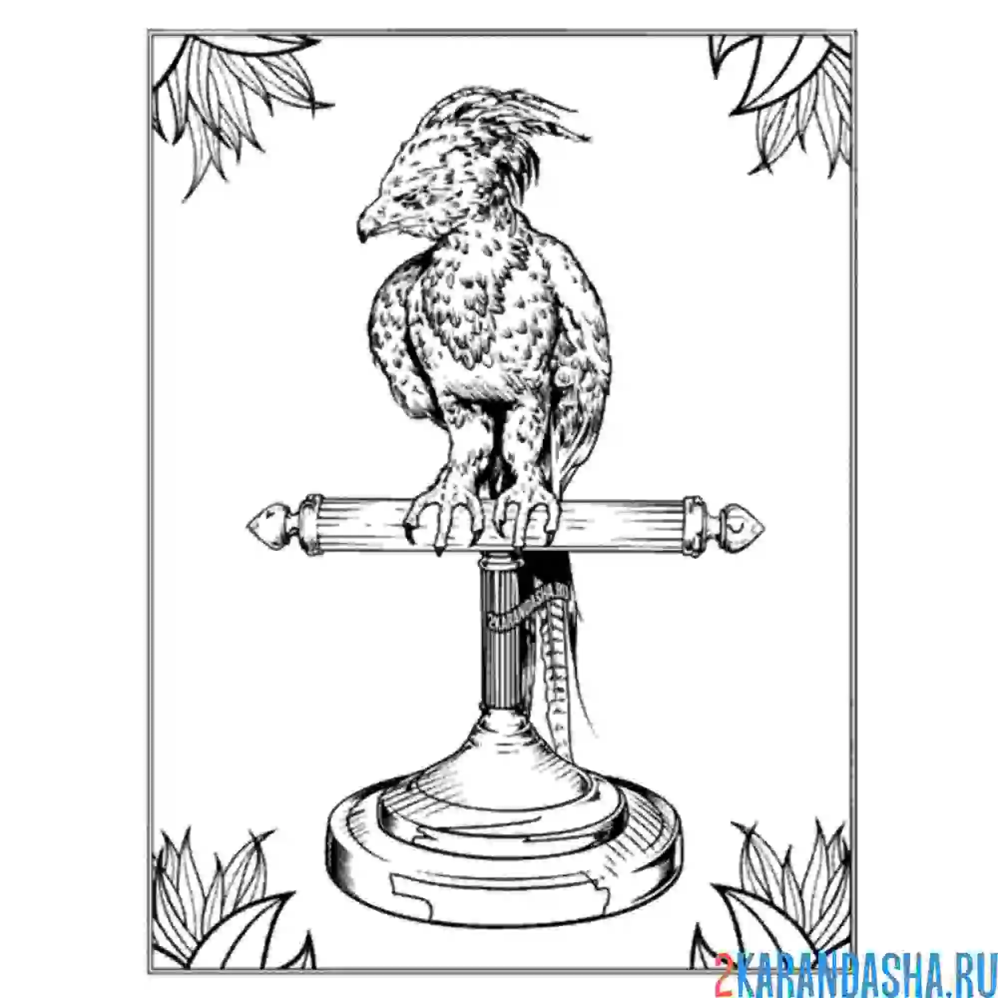 Раскраска феникс гарри поттер